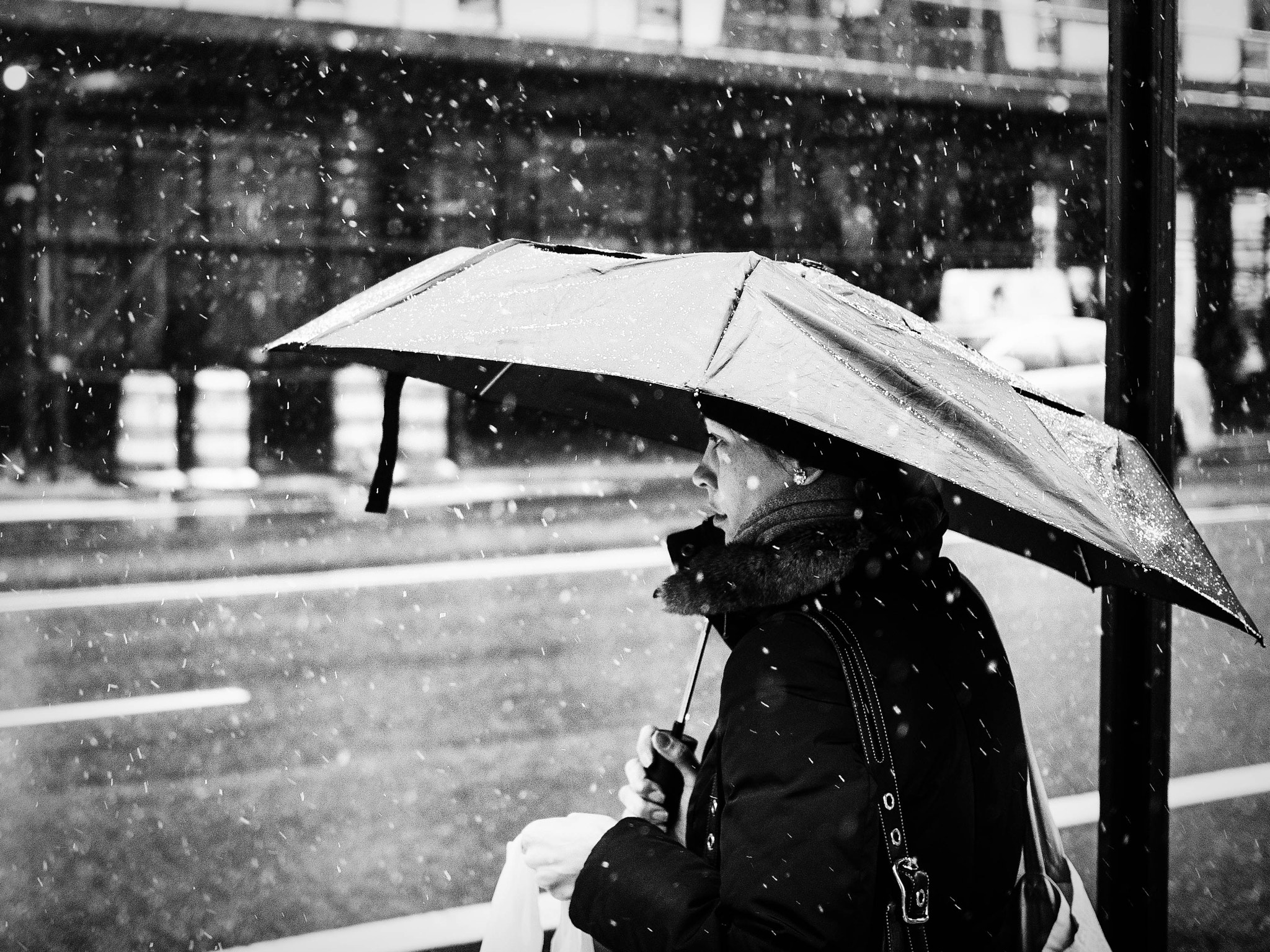 Olympus OM-D E-M5 + Olympus M.Zuiko Digital 25mm F1.8 sample photo. Snowy sadness photography