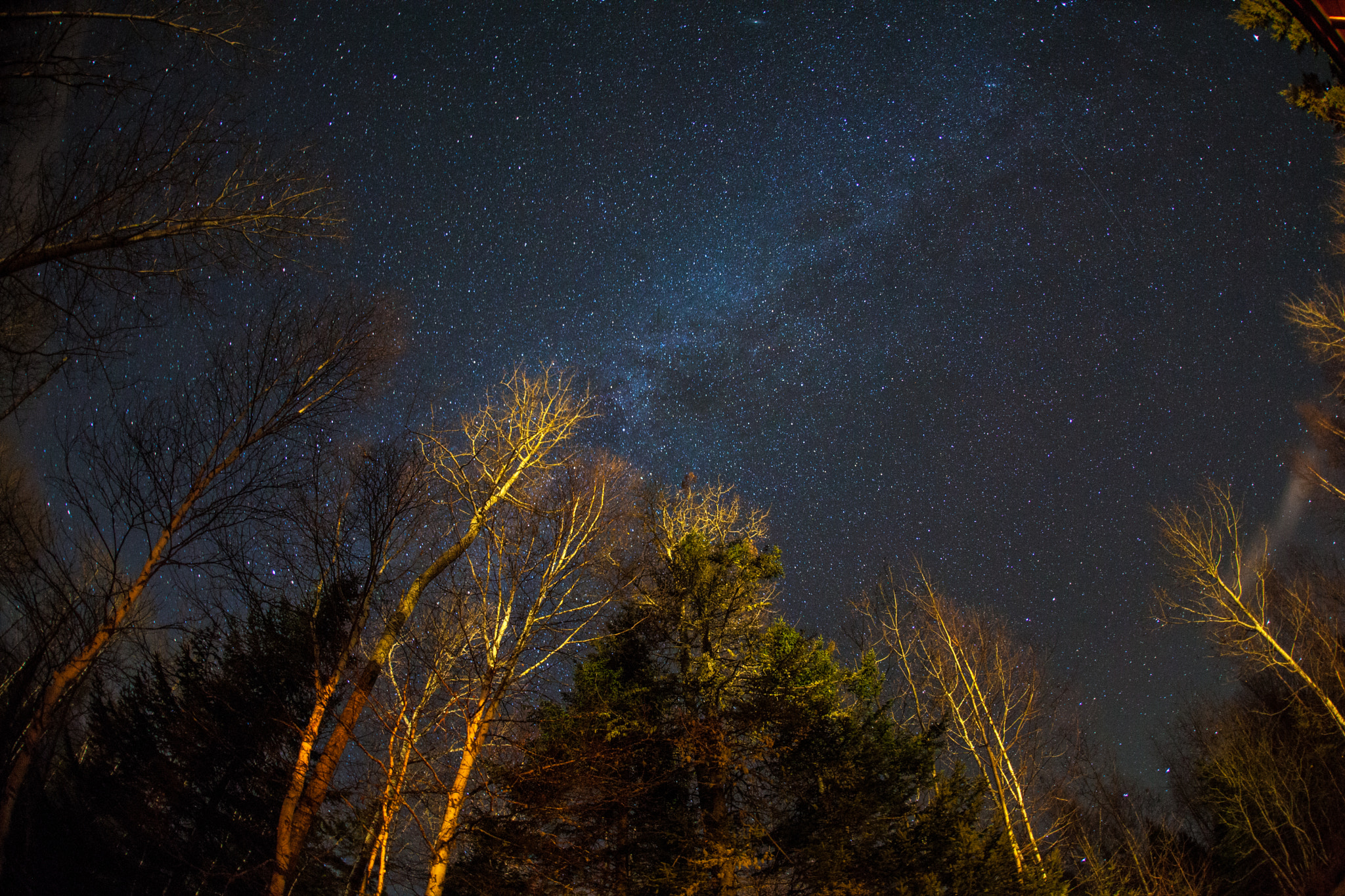 Sigma 15mm f/2.8 EX Fisheye sample photo. Milkyway photography