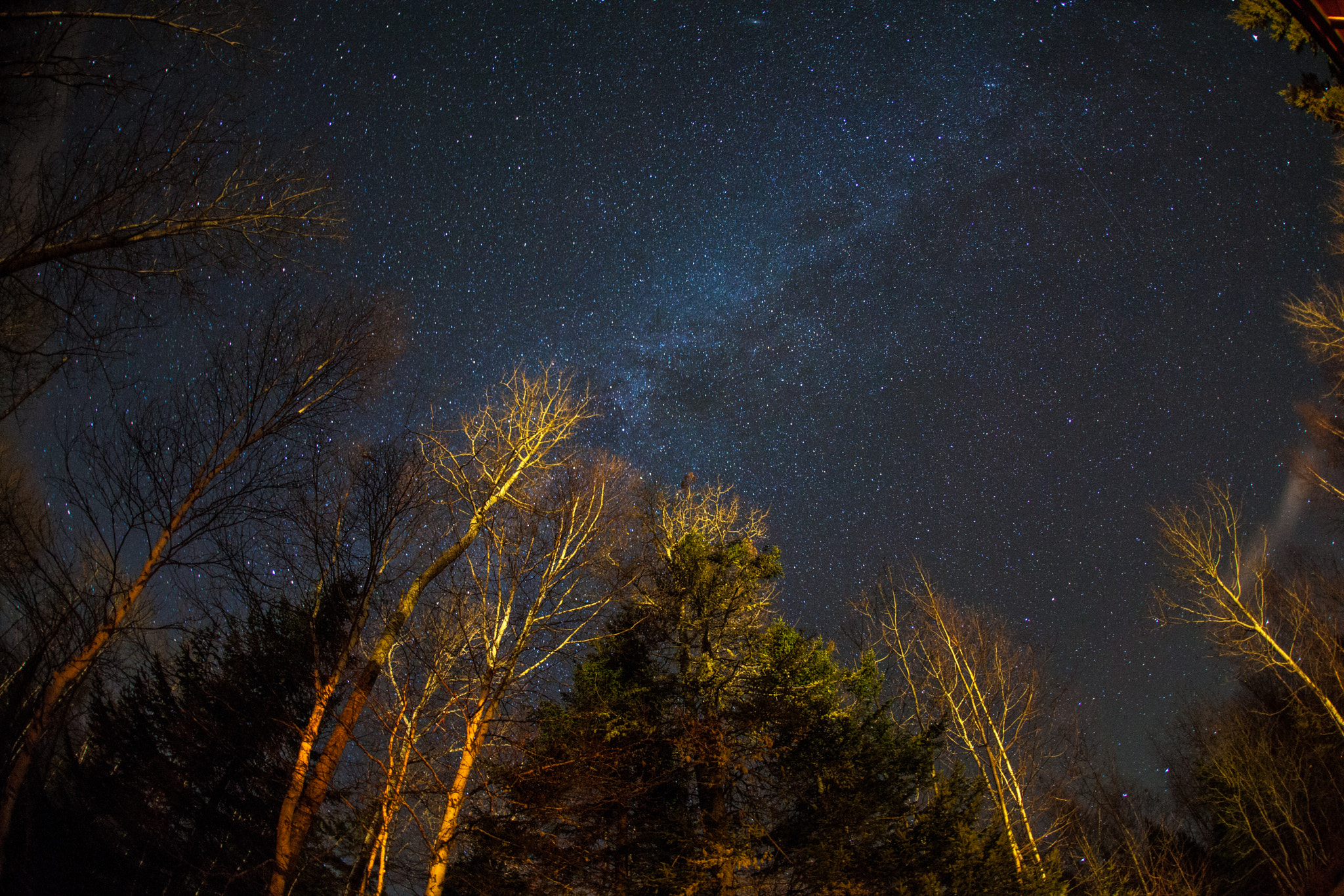 Canon EOS 5D Mark II + Sigma 15mm f/2.8 EX Fisheye sample photo. Milkyway photography