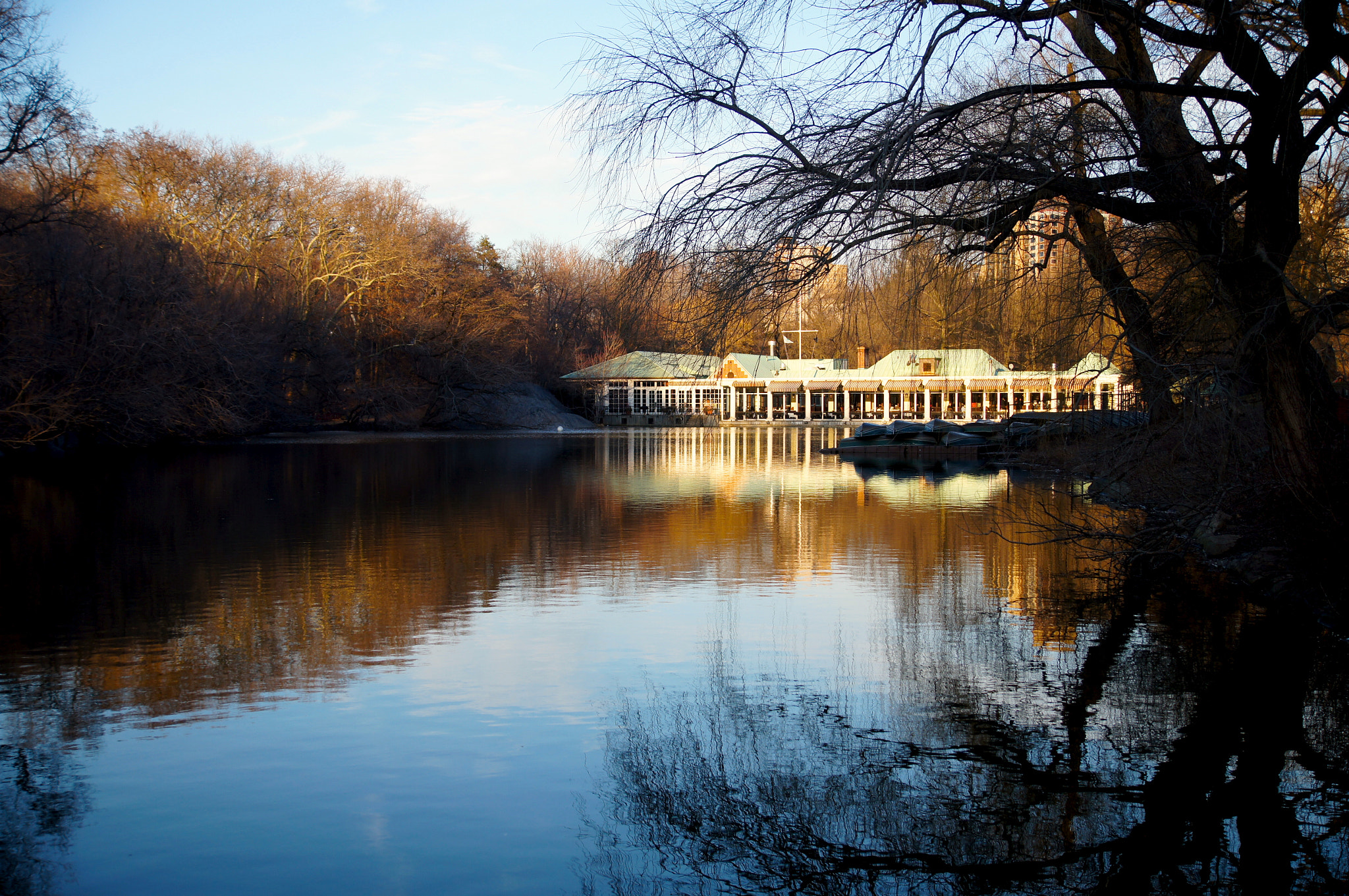 Sony SLT-A35 + Sony DT 16-50mm F2.8 SSM sample photo. Central park photography