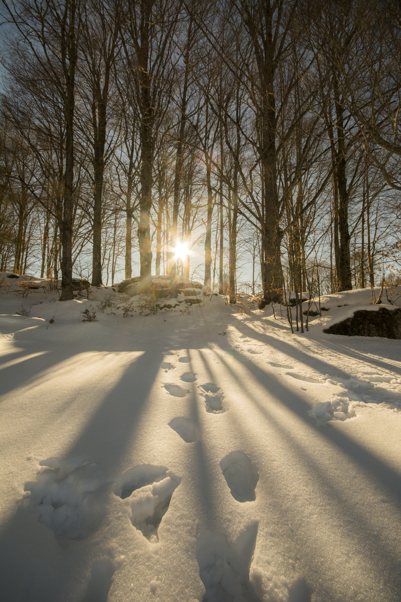 Walking towards the sun