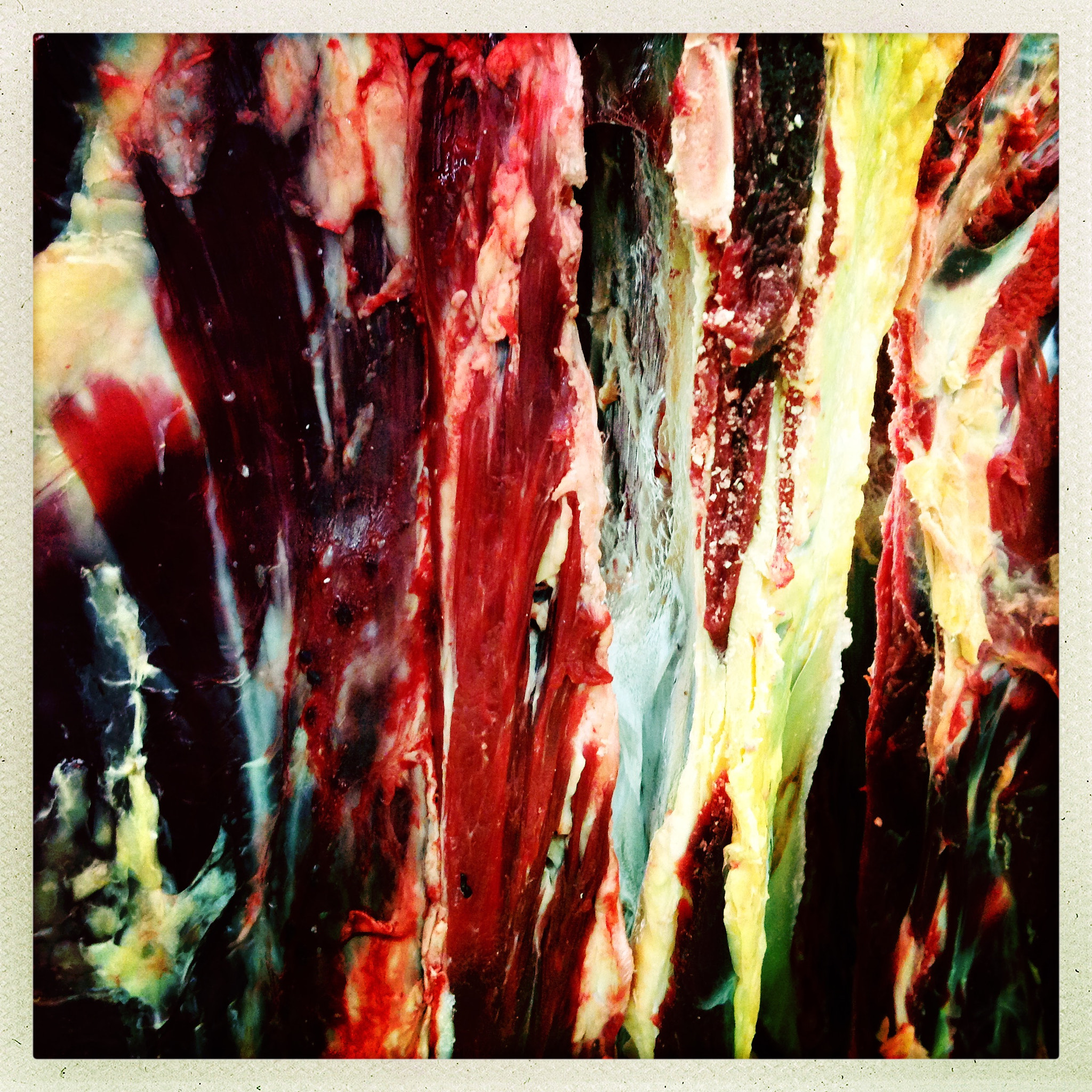 Hipstamatic 304 sample photo. Meat @slaughterhouse photography