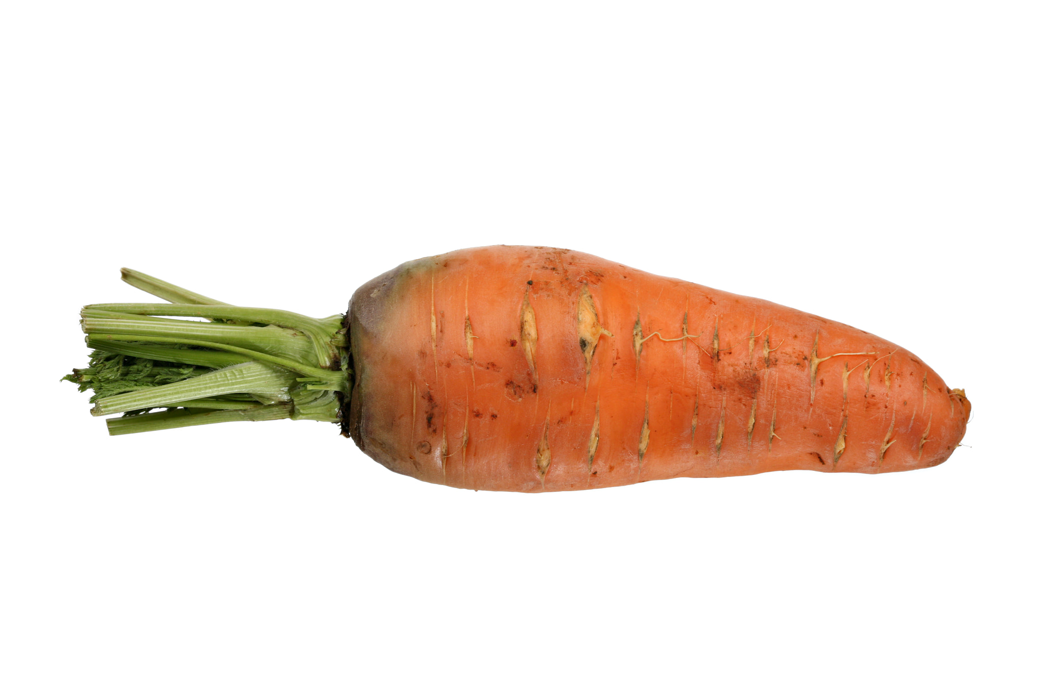 Canon EOS 5D + Canon EF 100mm F2.8 Macro USM sample photo. Big organic carrot on white background photography