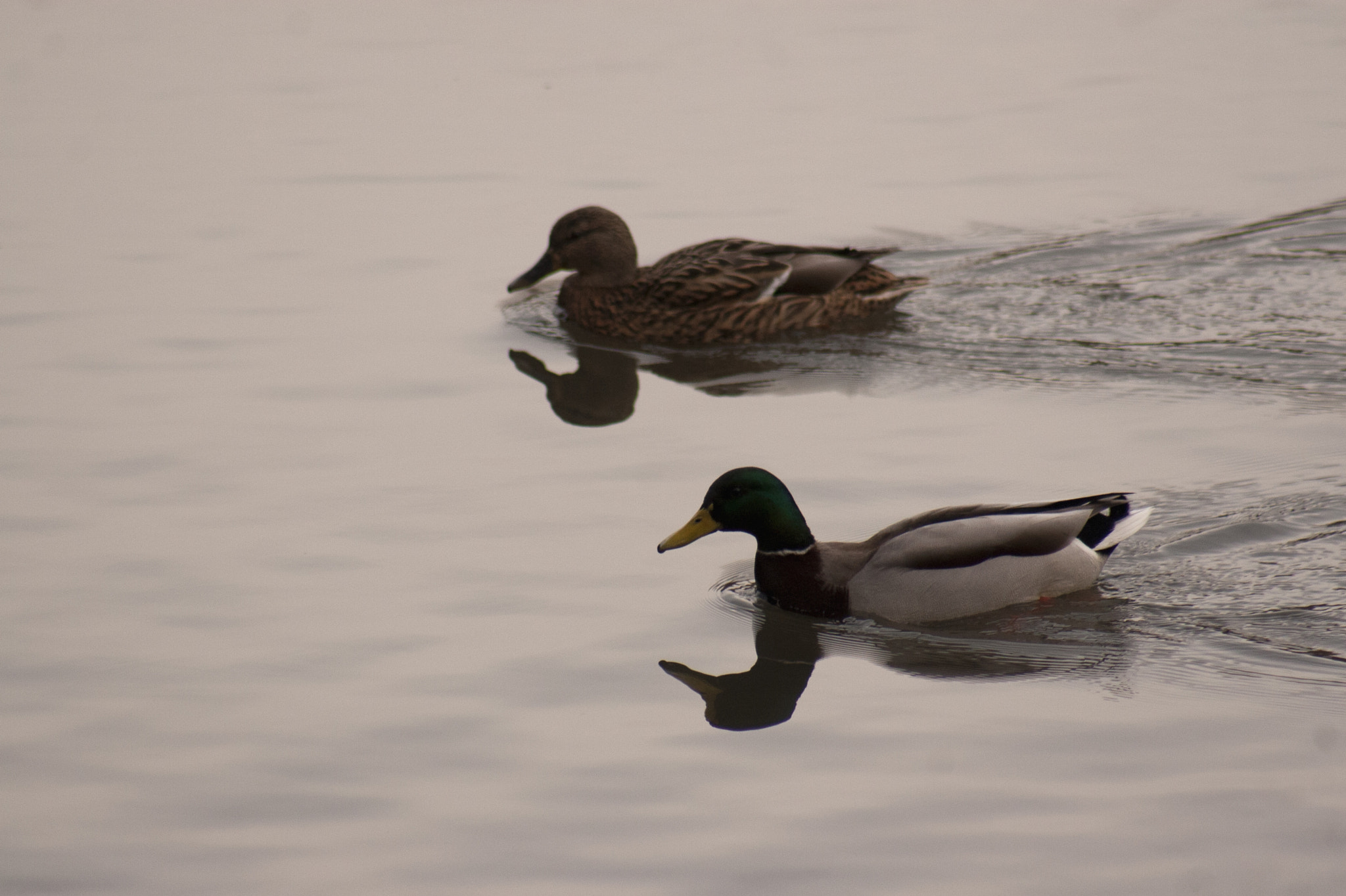 Canon EOS 30D sample photo. _ photography