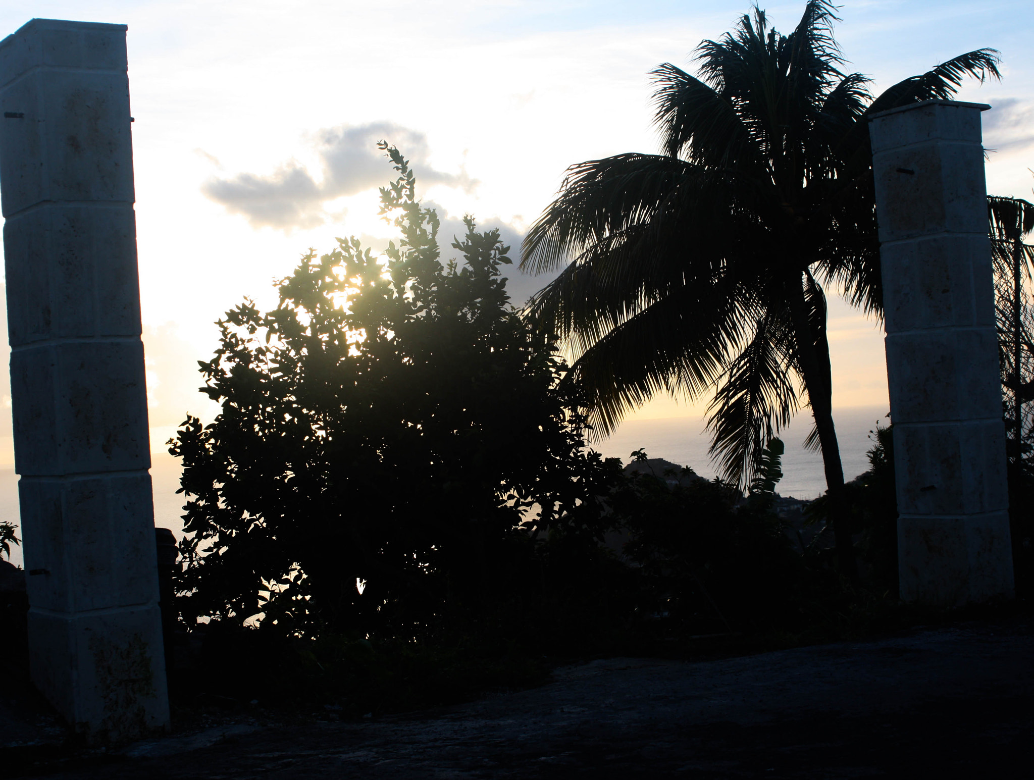 Canon EF 28-80mm f/2.8-4L sample photo. Just a little something.. photography