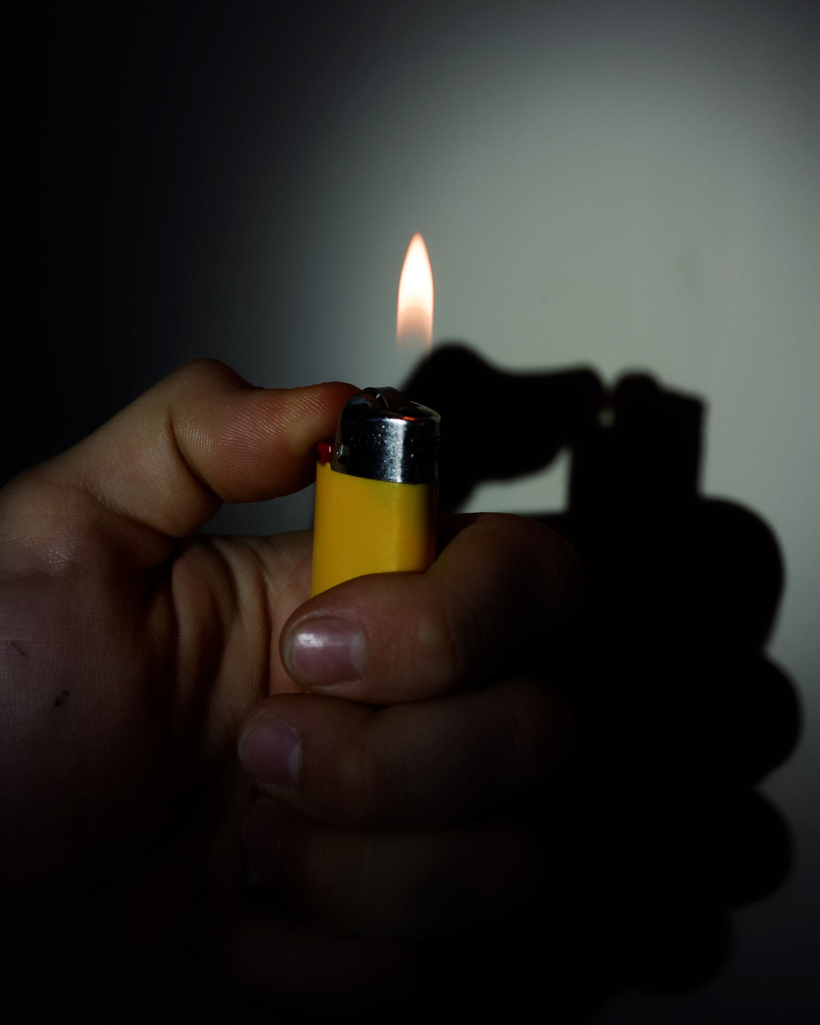 Sigma 30mm F1.4 EX DC HSM sample photo. Ghost of flame photography