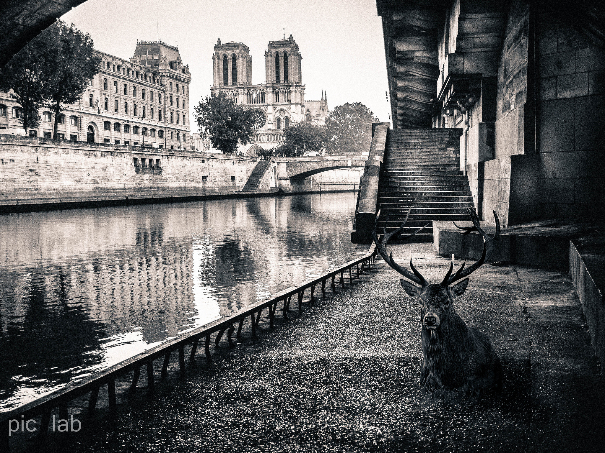 Olympus PEN E-P5 + Panasonic Lumix G 20mm F1.7 ASPH sample photo. Pariscerf photography
