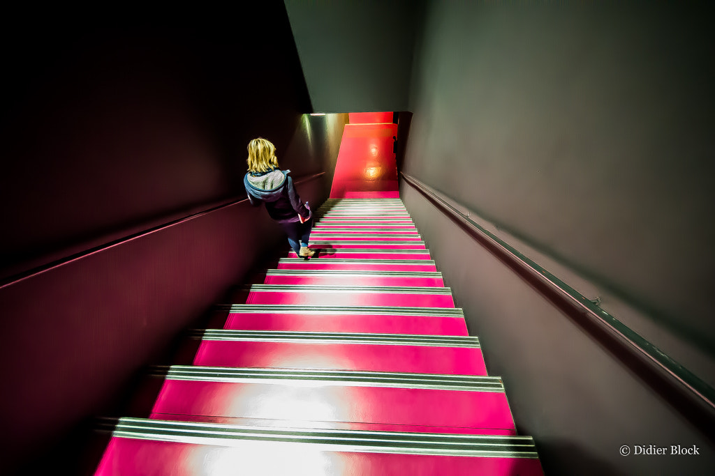 Sigma 8-16mm F4.5-5.6 DC HSM sample photo. Dans l'escalier photography