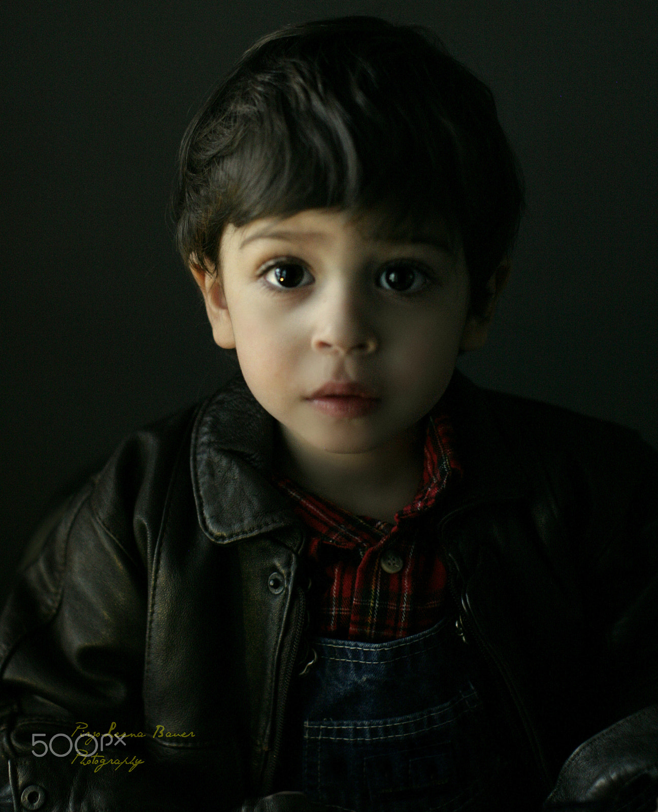 Canon EF 50mm F1.2L USM sample photo. Xc7n0327  4.jpg photography