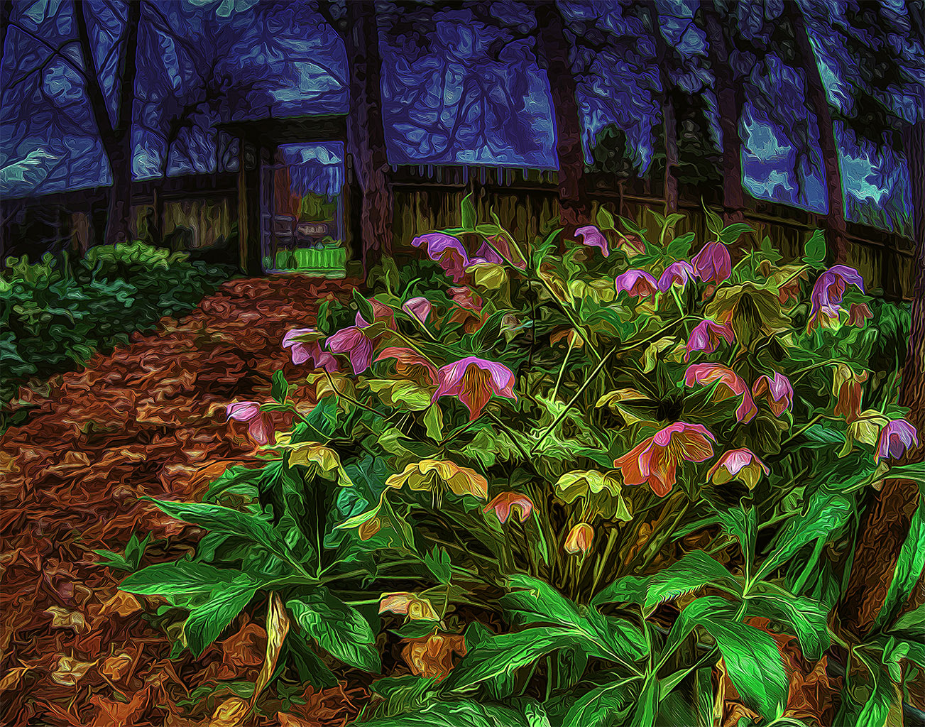 Sony a7R II + Canon EF 15mm F2.8 Fisheye sample photo. Along the hellebore path photography