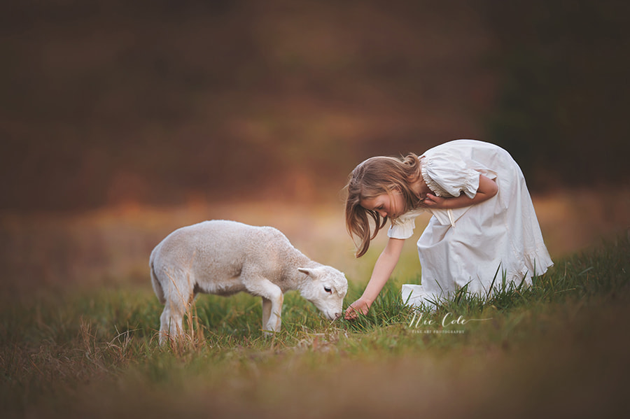 Nikon AF-S Nikkor 200mm F2G ED VR II sample photo. A girl and her lambs photography