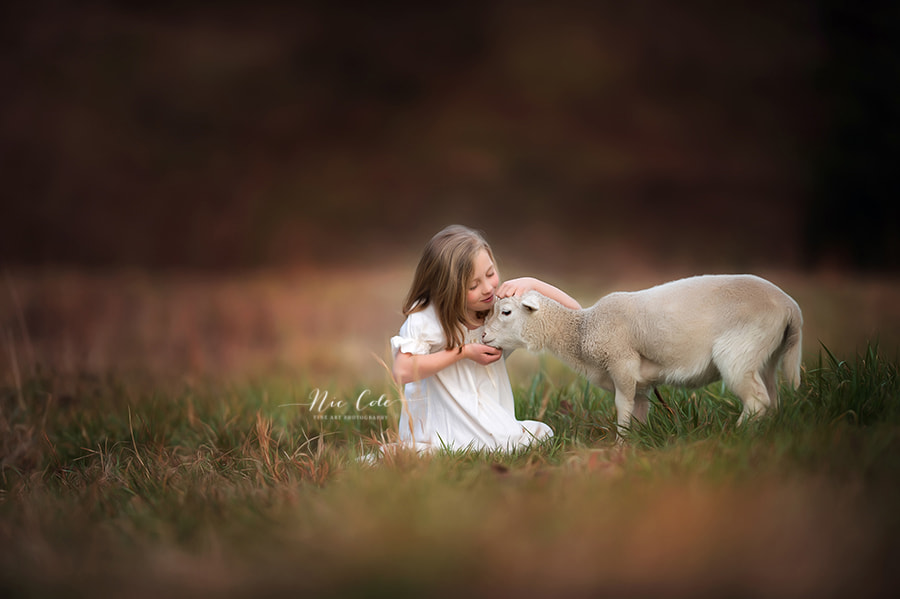 Nikon AF-S Nikkor 200mm F2G ED VR II sample photo. A girl and her lambs photography