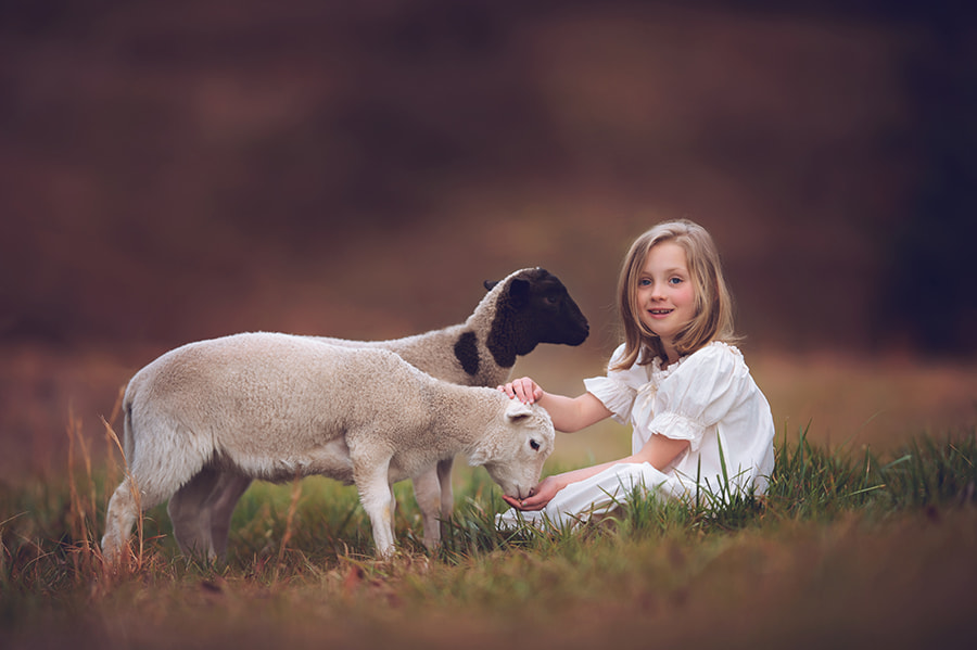 Nikon AF-S Nikkor 200mm F2G ED VR II sample photo. A girl and her lambs photography