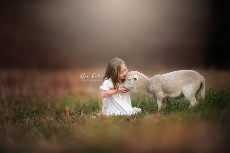 Nikon AF-S Nikkor 200mm F2G ED VR II sample photo. A girl and her lambs photography