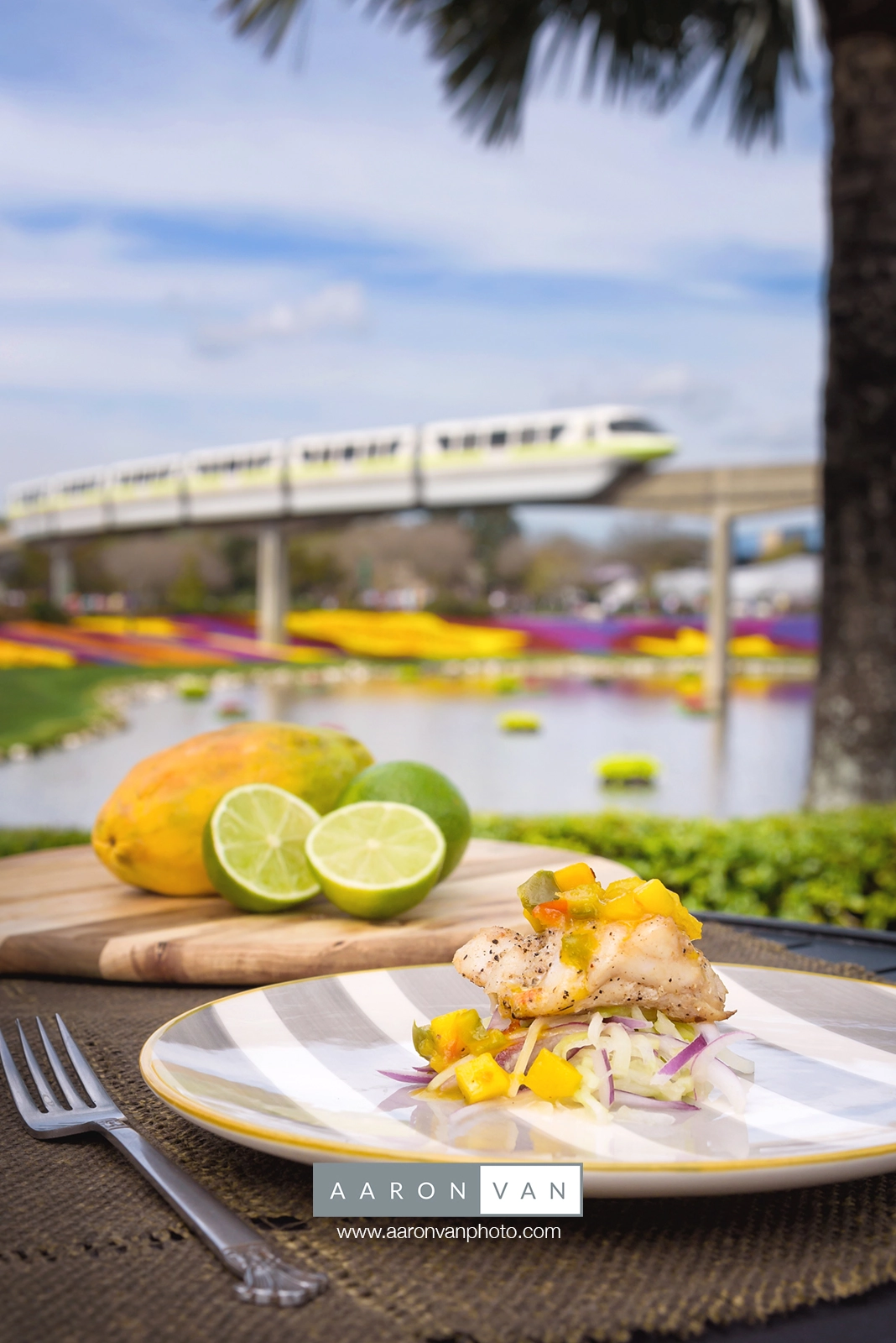 AF Zoom-Nikkor 28-105mm f/3.5-4.5D IF sample photo. La isla fresca jerk-spice grouper with mango salsa photography
