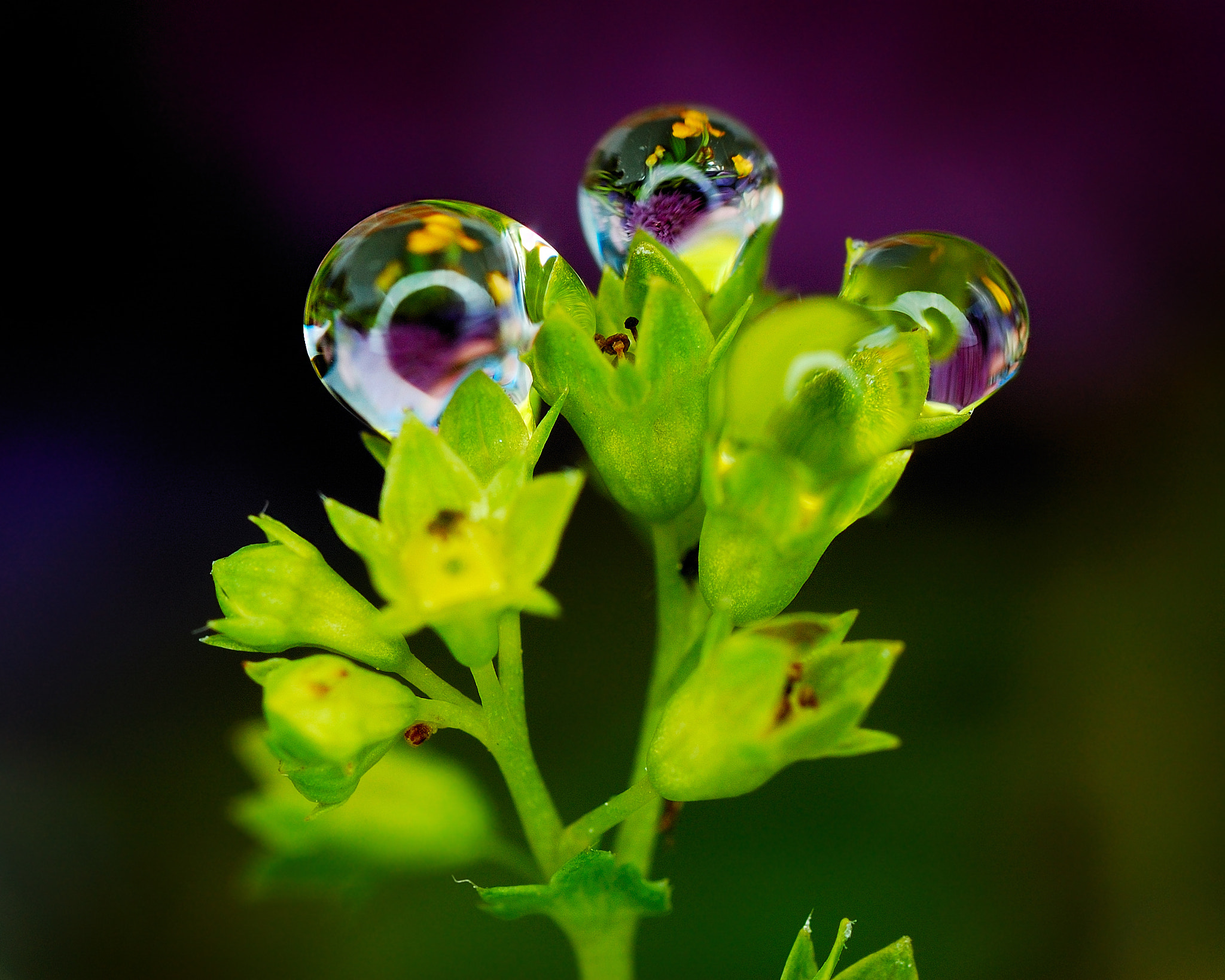 Nikon D40 sample photo. Nice photography