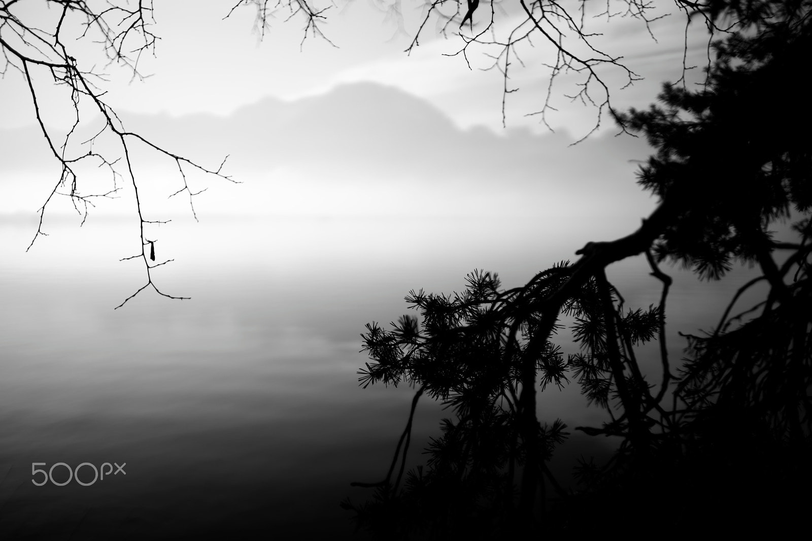 Sony a99 II + Sony 35mm F1.4 G sample photo. Lake geneva and alps (18) photography