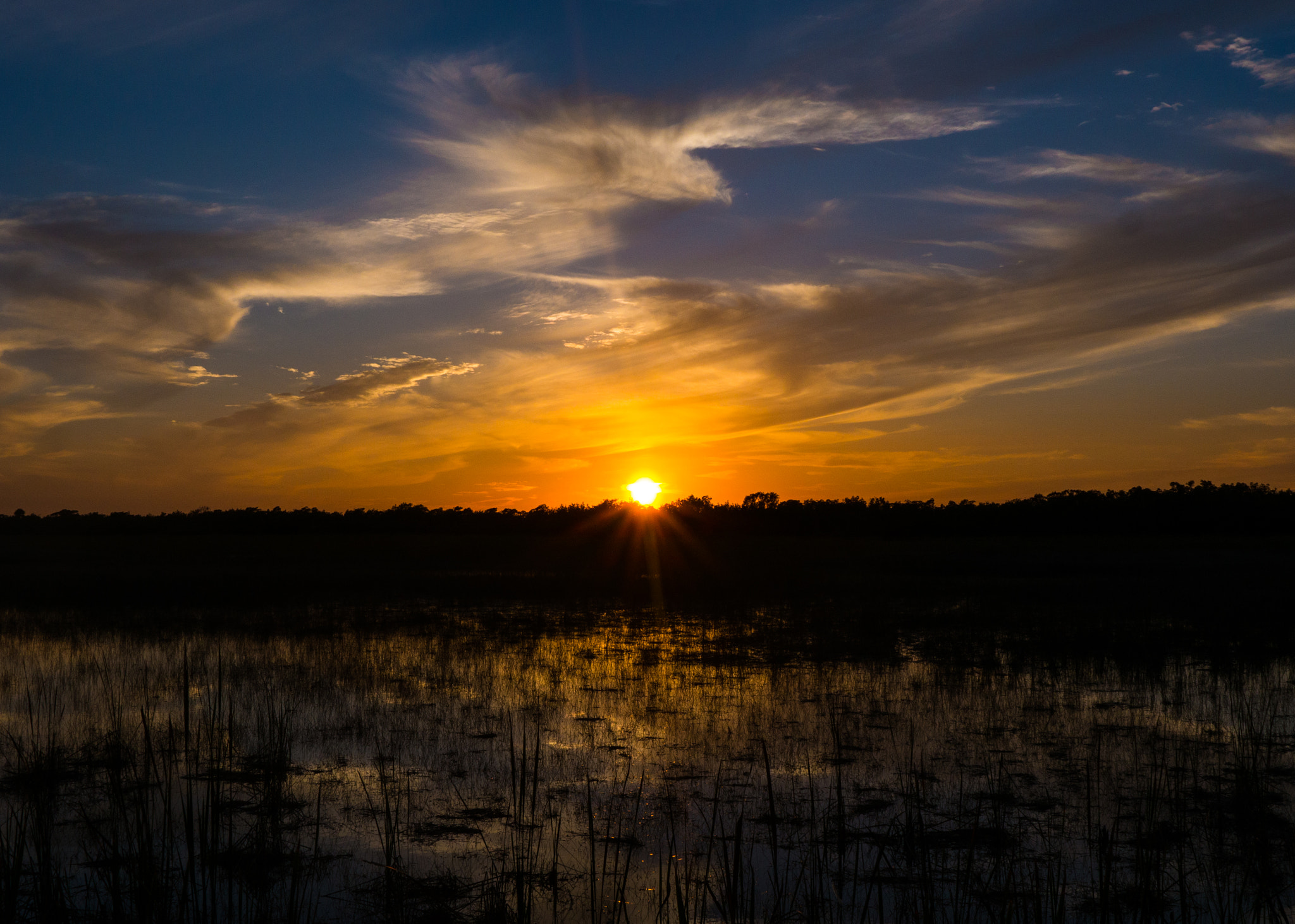 Panasonic Lumix DMC-GH3 sample photo. Big cypress i photography