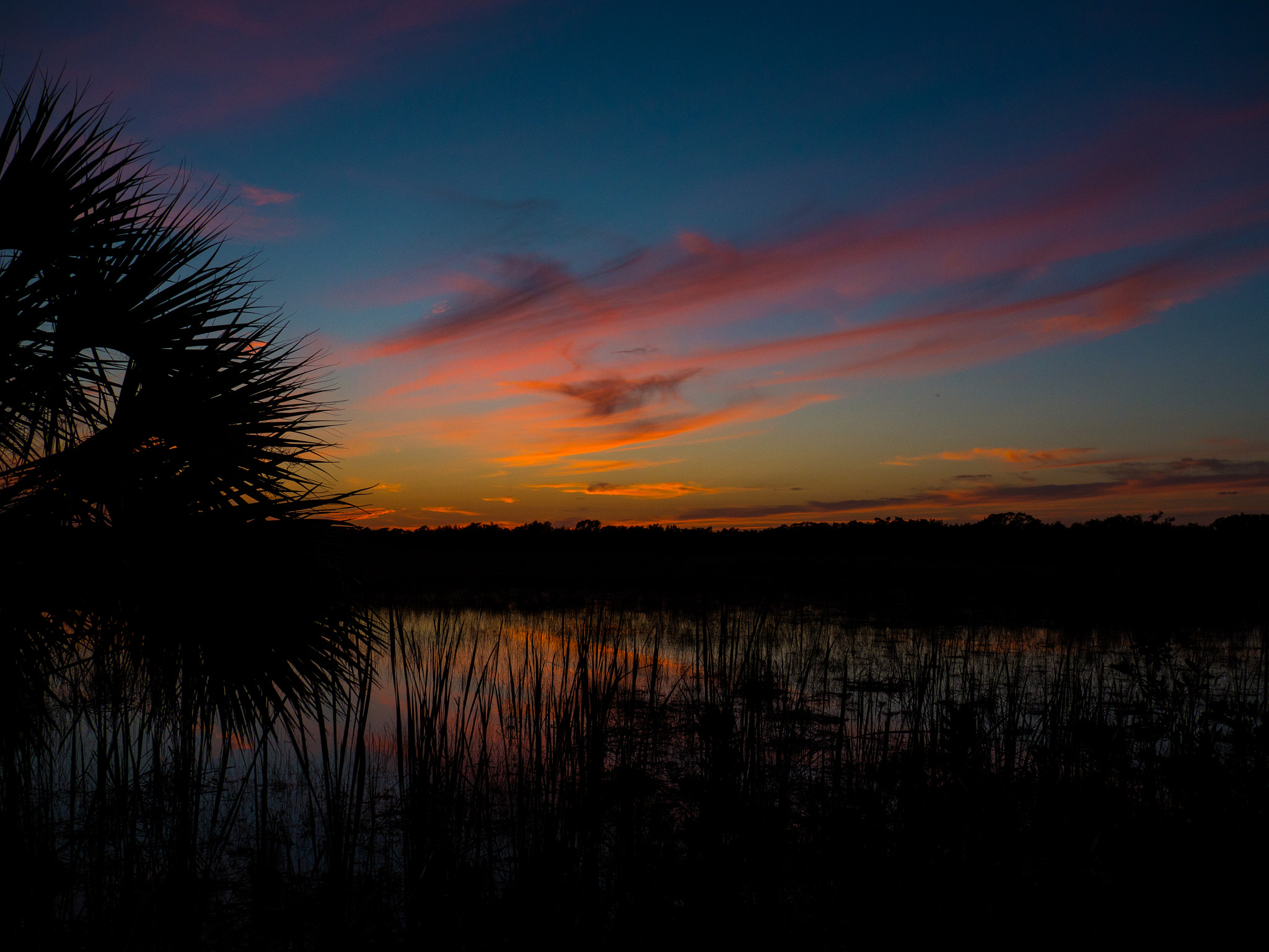 Panasonic Lumix DMC-GH3 sample photo. Big cypress ii photography