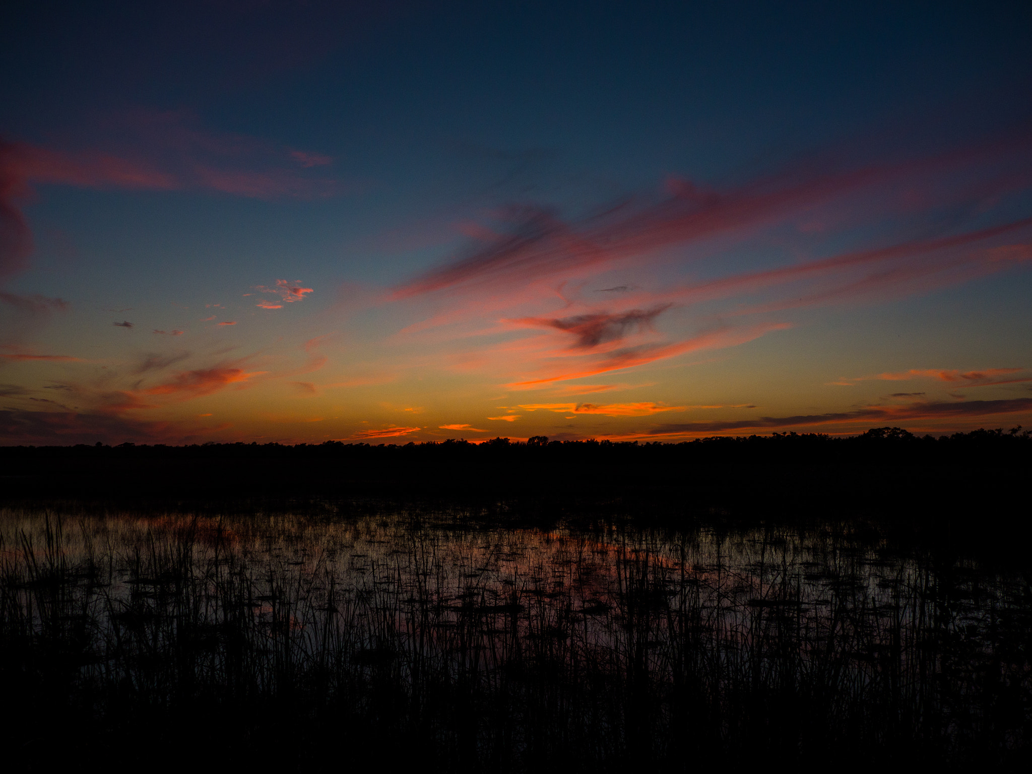 Panasonic Lumix DMC-GH3 sample photo. Big cypress iii photography