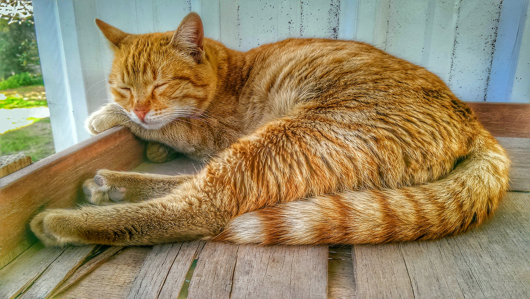 HTC ONE MINI sample photo
