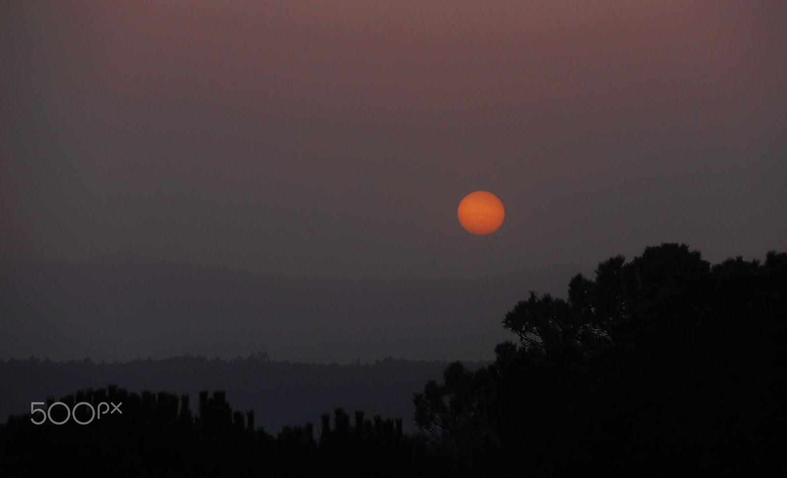 Olympus VR325,VR320,D725 sample photo. Sunset photography
