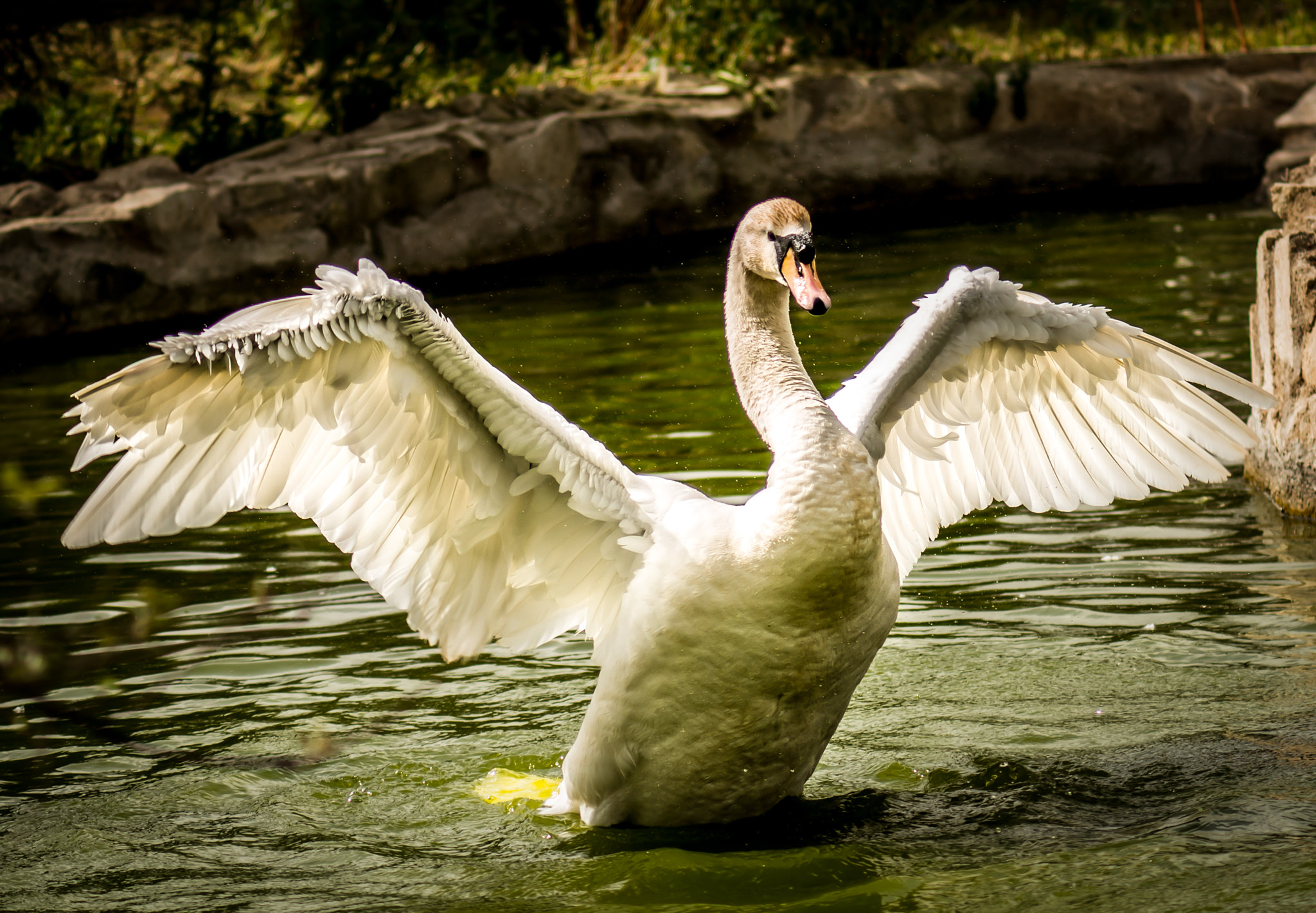 Nikon D800 + AF Zoom-Nikkor 70-210mm f/4 sample photo. Making a statement photography
