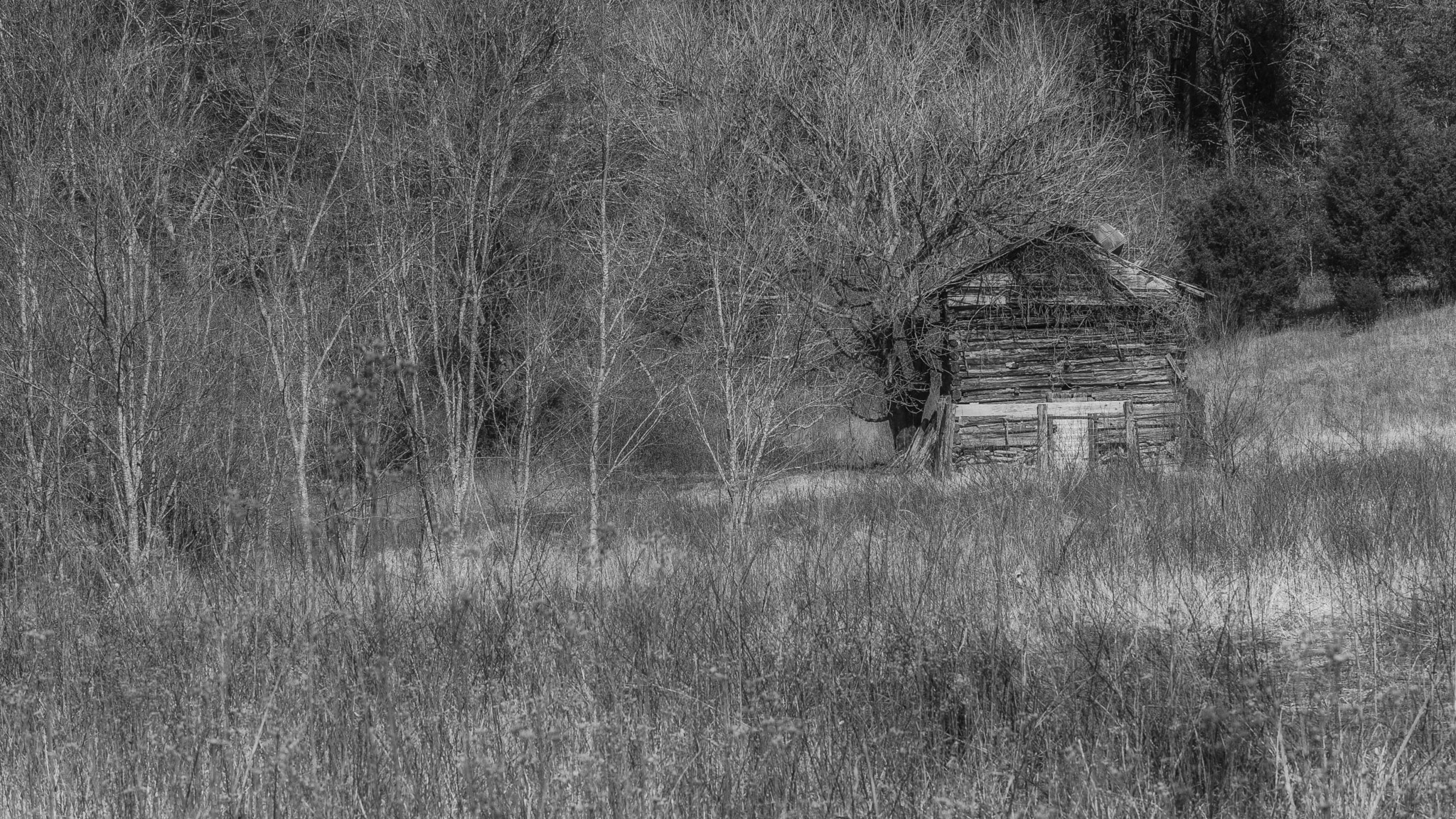 Canon EF 80-200mm f/2.8L sample photo. Fading away photography