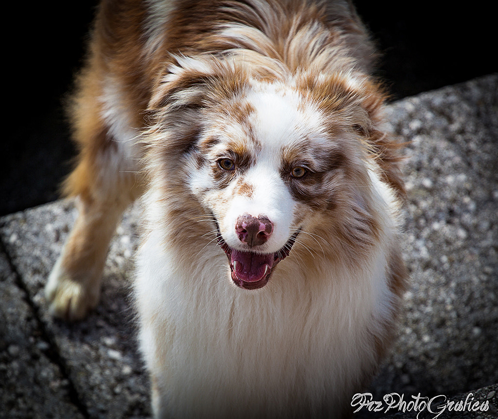 Canon EF 70-200mm F4L USM sample photo. Https://www.facebook.com/reflex-mirrorless-736050049865555/?ref=bookmarks photography