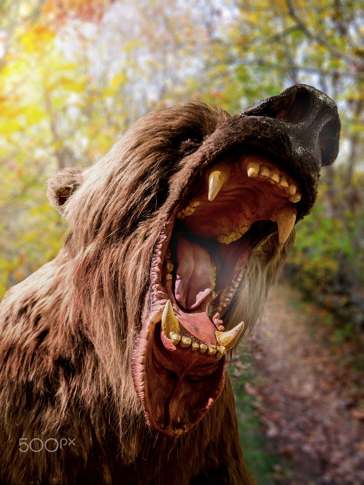 Olympus OM-D E-M10 sample photo. Roar photography