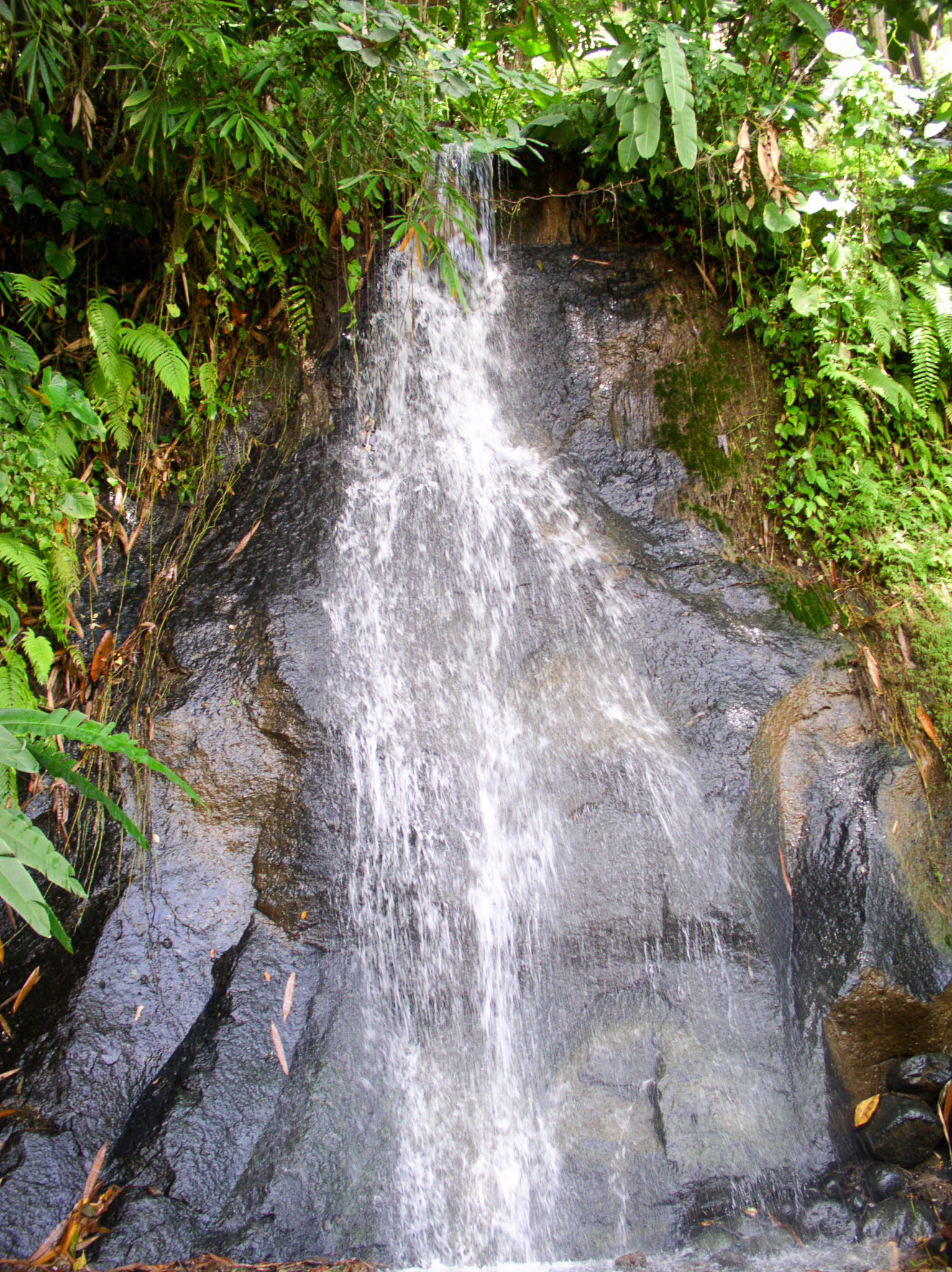 Olympus C4100Z,C4000Z sample photo. Waterfalls photography