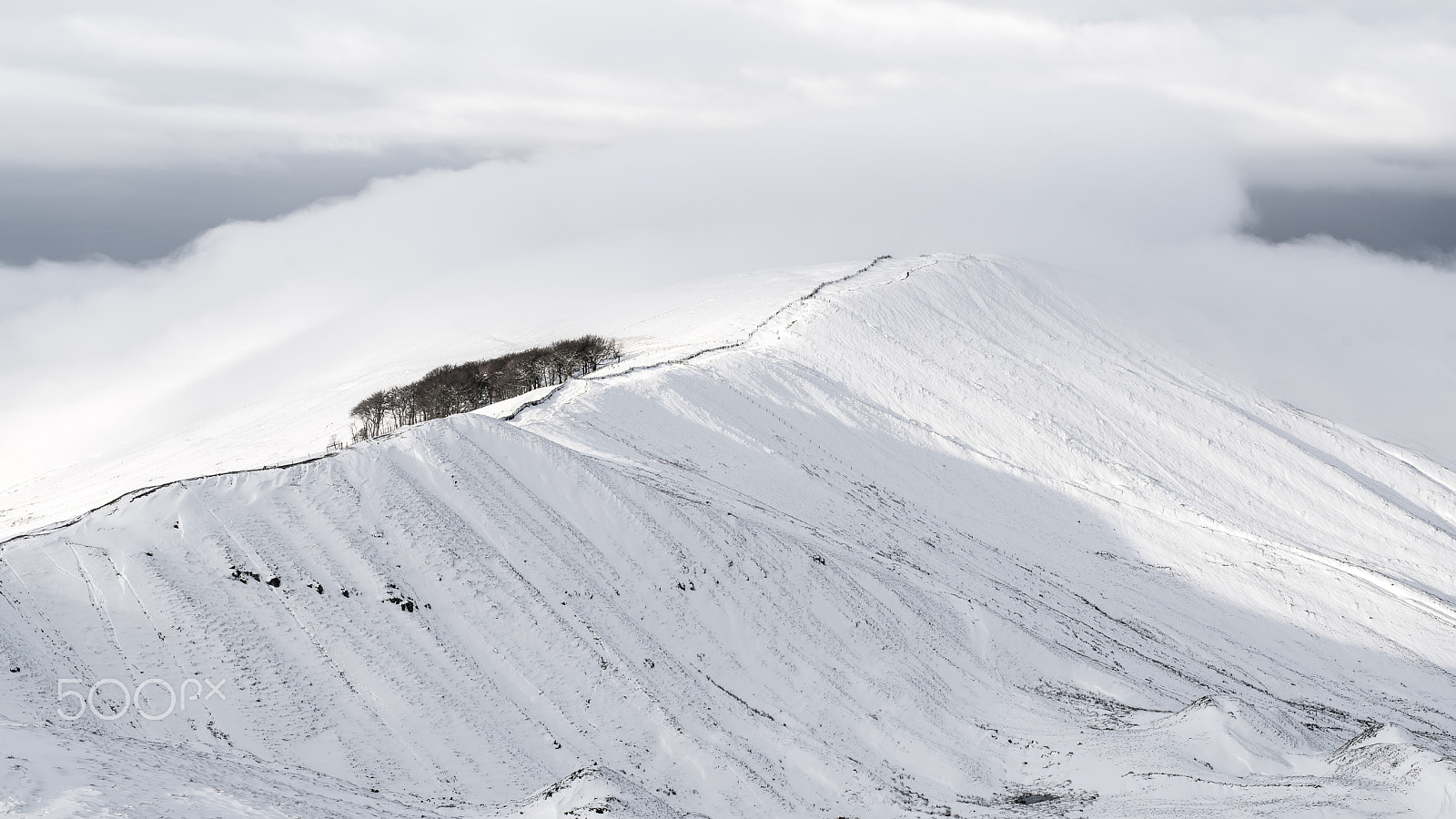 Sony a7R II + Canon EF 100mm F2.8L Macro IS USM sample photo. Snowy mam tor photography