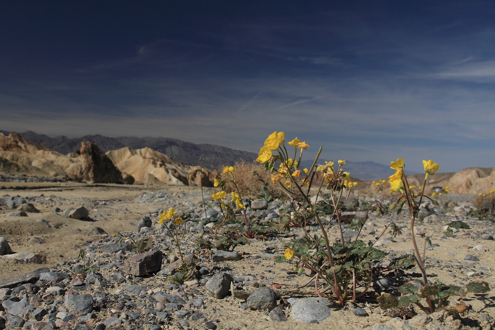 Canon EF 24-105mm F4L IS USM sample photo. Death valley las vegas photography
