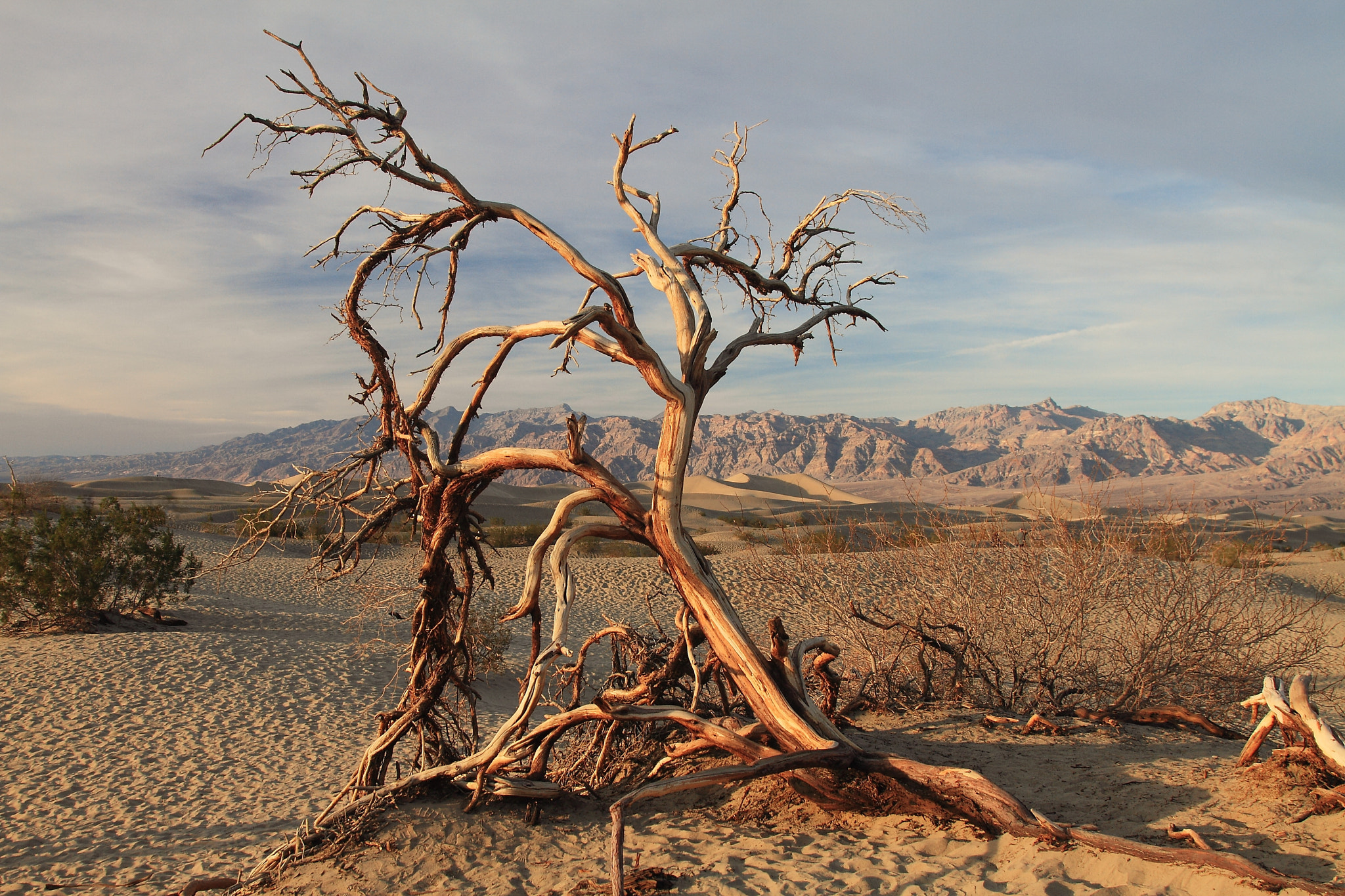 Canon EF 24-105mm F4L IS USM sample photo. Death valley las vegas photography