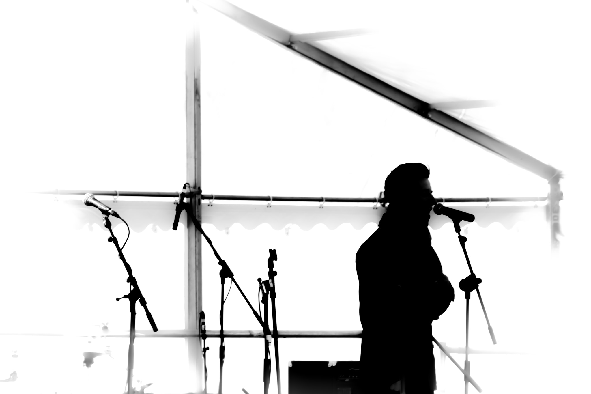 Canon EF 70-300mm F4-5.6 IS USM sample photo. The singer photography