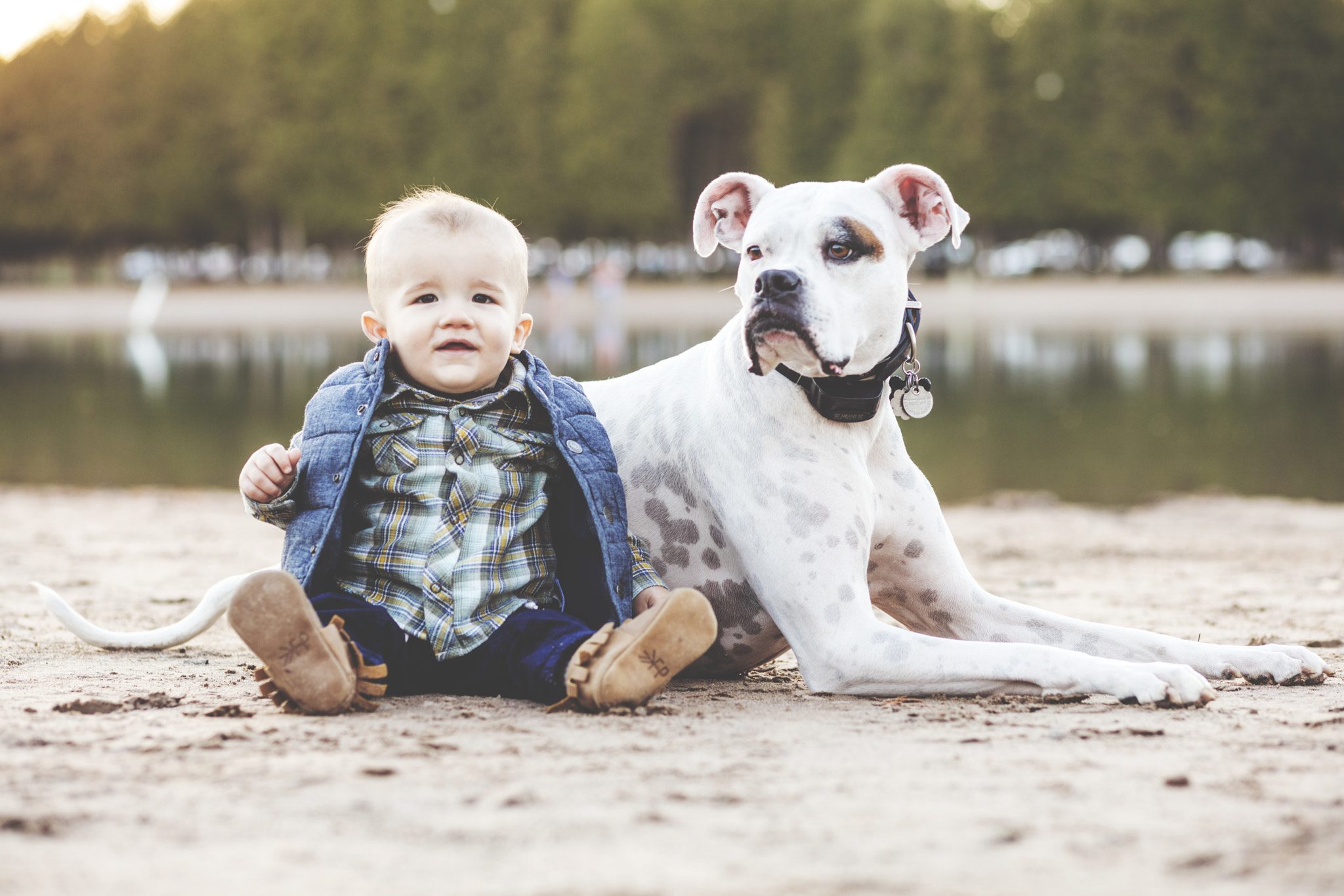 Canon EOS 5DS + Canon EF 85mm F1.8 USM sample photo. Boy and his dog photography