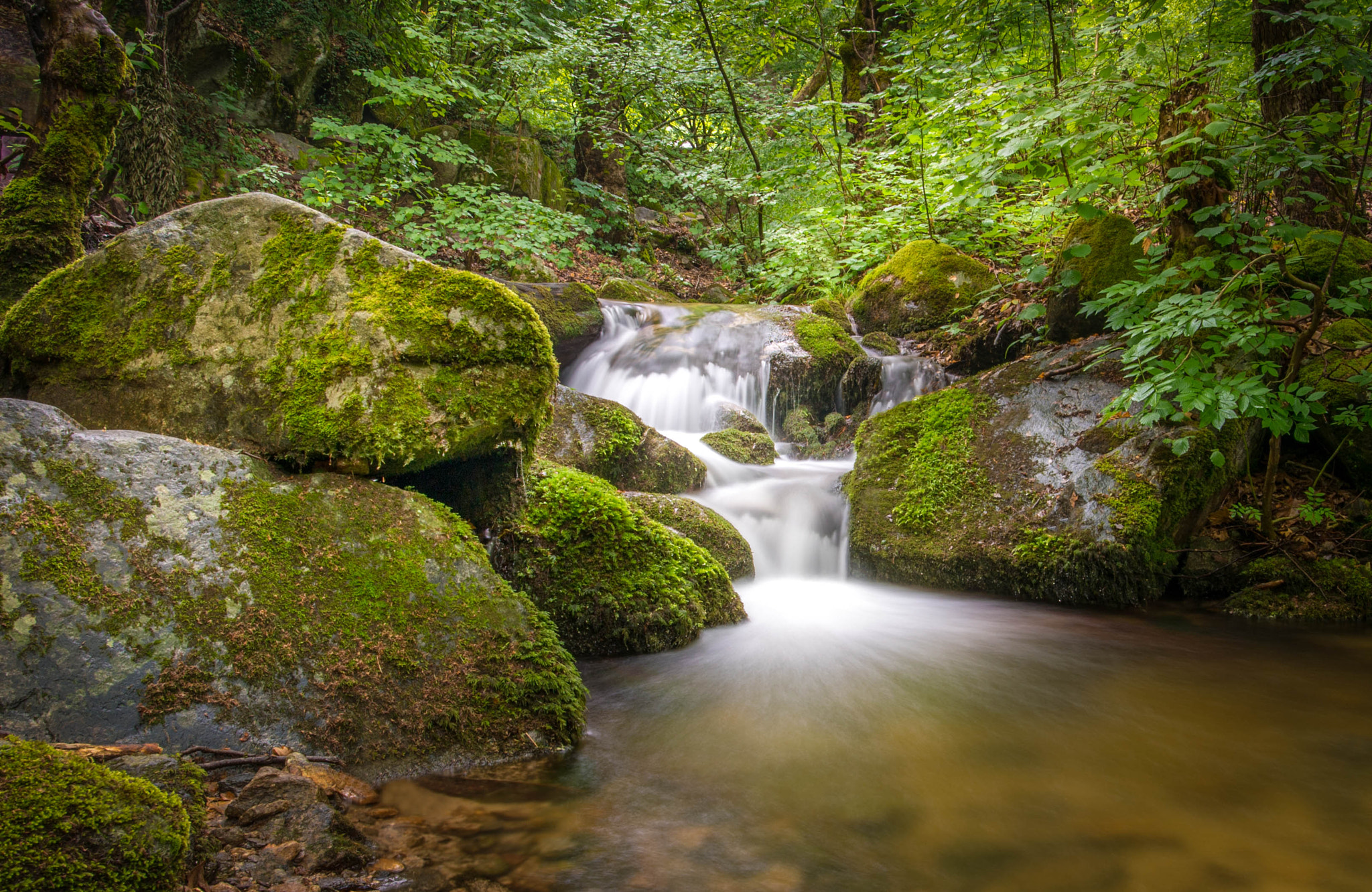 Nikon Df + Nikon AF-S Nikkor 20mm F1.8G ED sample photo. Macedonian waterfall photography