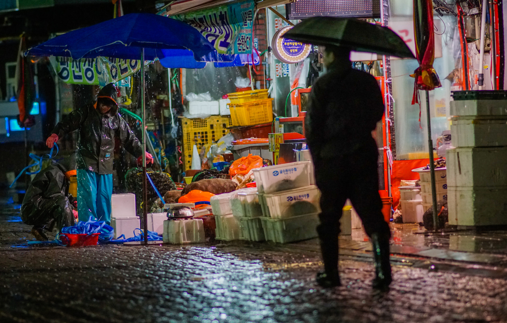 Sony Sonnar T* 135mm F1.8 ZA sample photo. A fish market in dawn photography