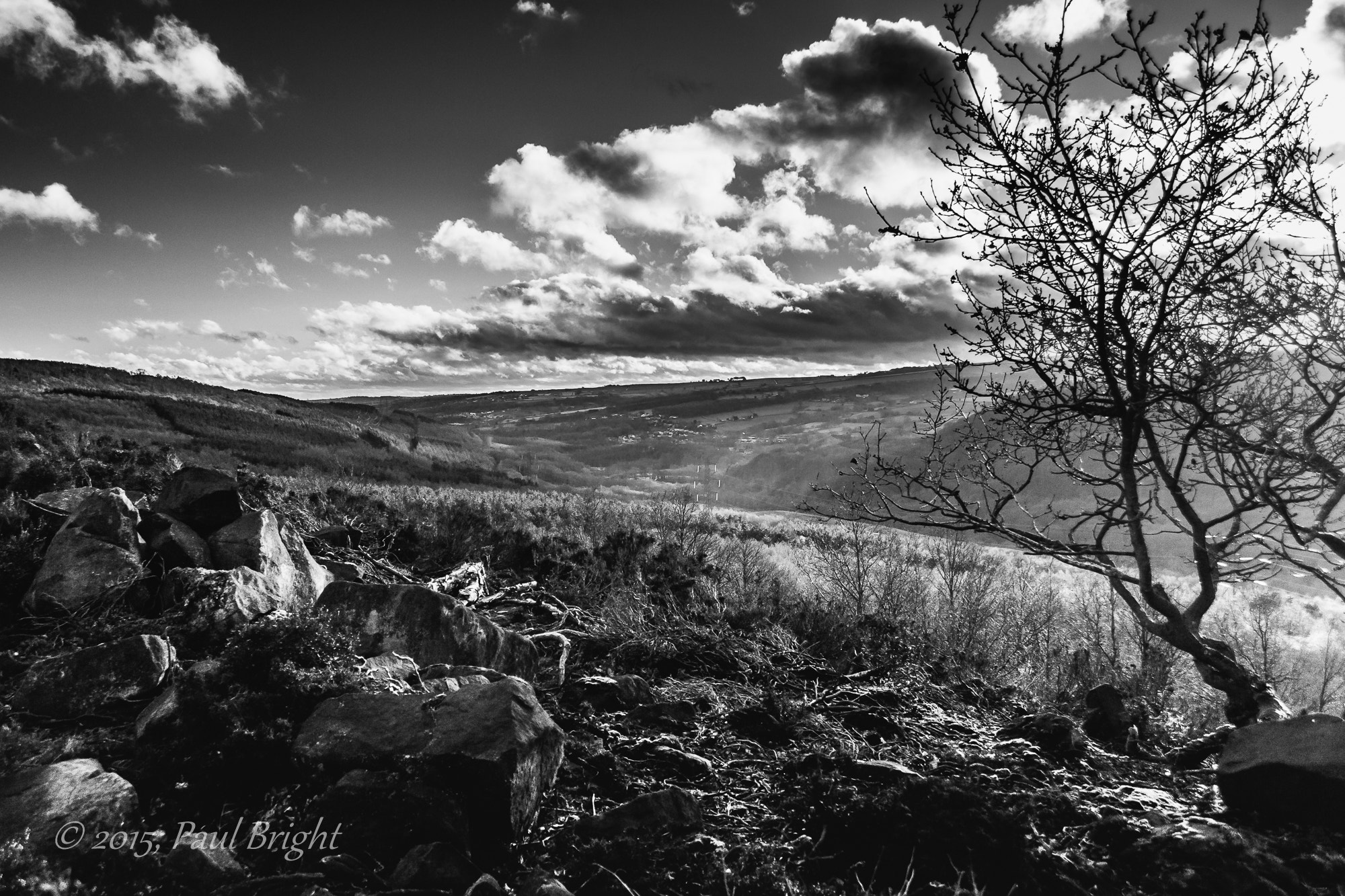 Canon EF-S 18-55mm F3.5-5.6 sample photo. Moorland summer photography