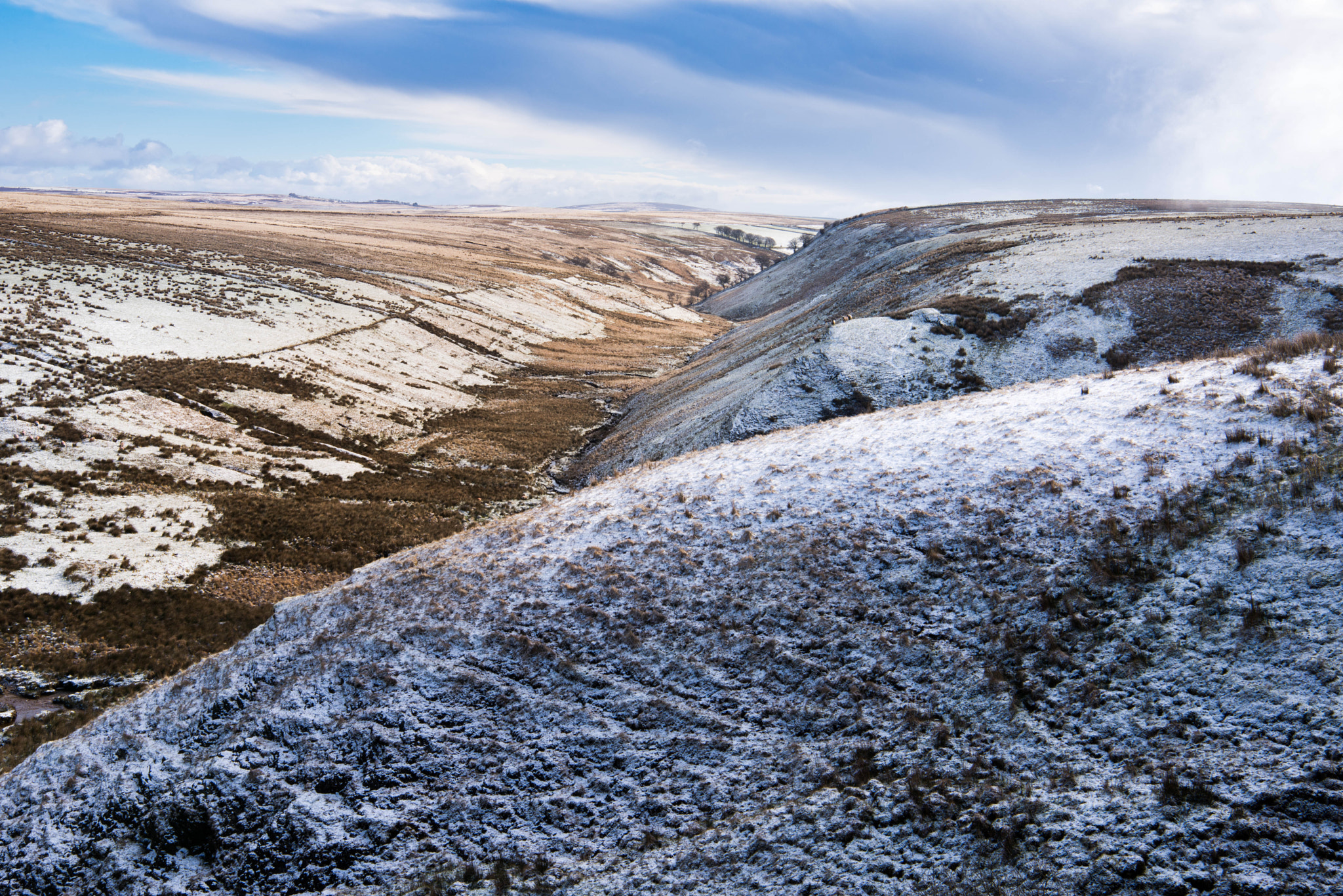 Nikon AF-S Nikkor 24-70mm F2.8E ED VR sample photo. Prayway meads, exmoor photography