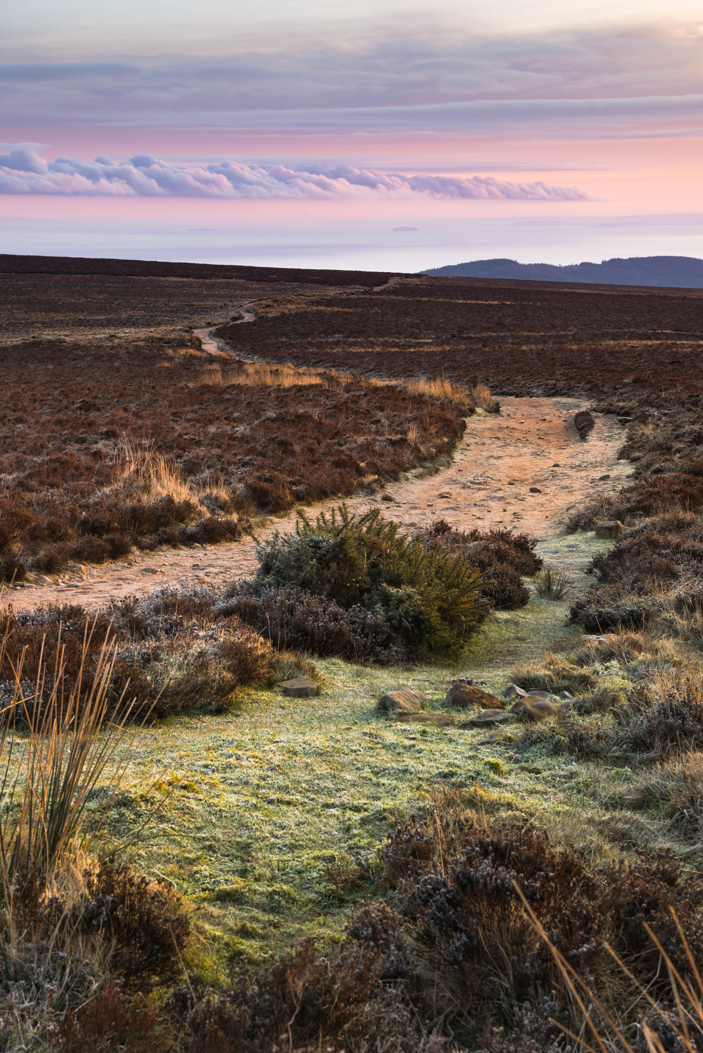 Nikon AF-S Nikkor 24-70mm F2.8E ED VR sample photo. The macmillan way west, exmoor photography