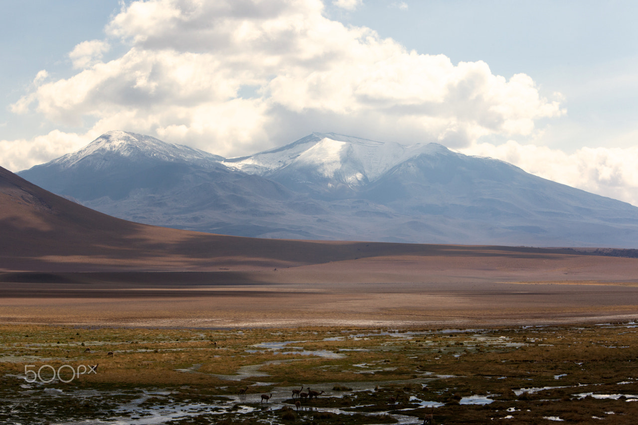 Canon EF 70-200mm F2.8L IS USM sample photo. Atacama dessert 4 photography