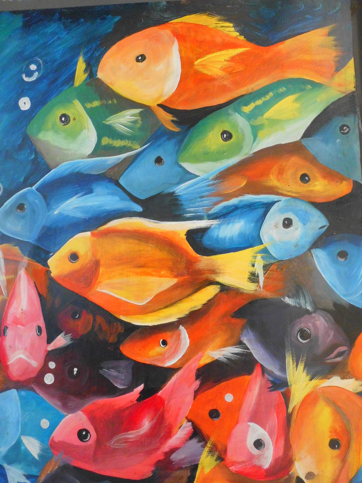 CASIO QV-R200 sample photo. Arco iris de peces photography