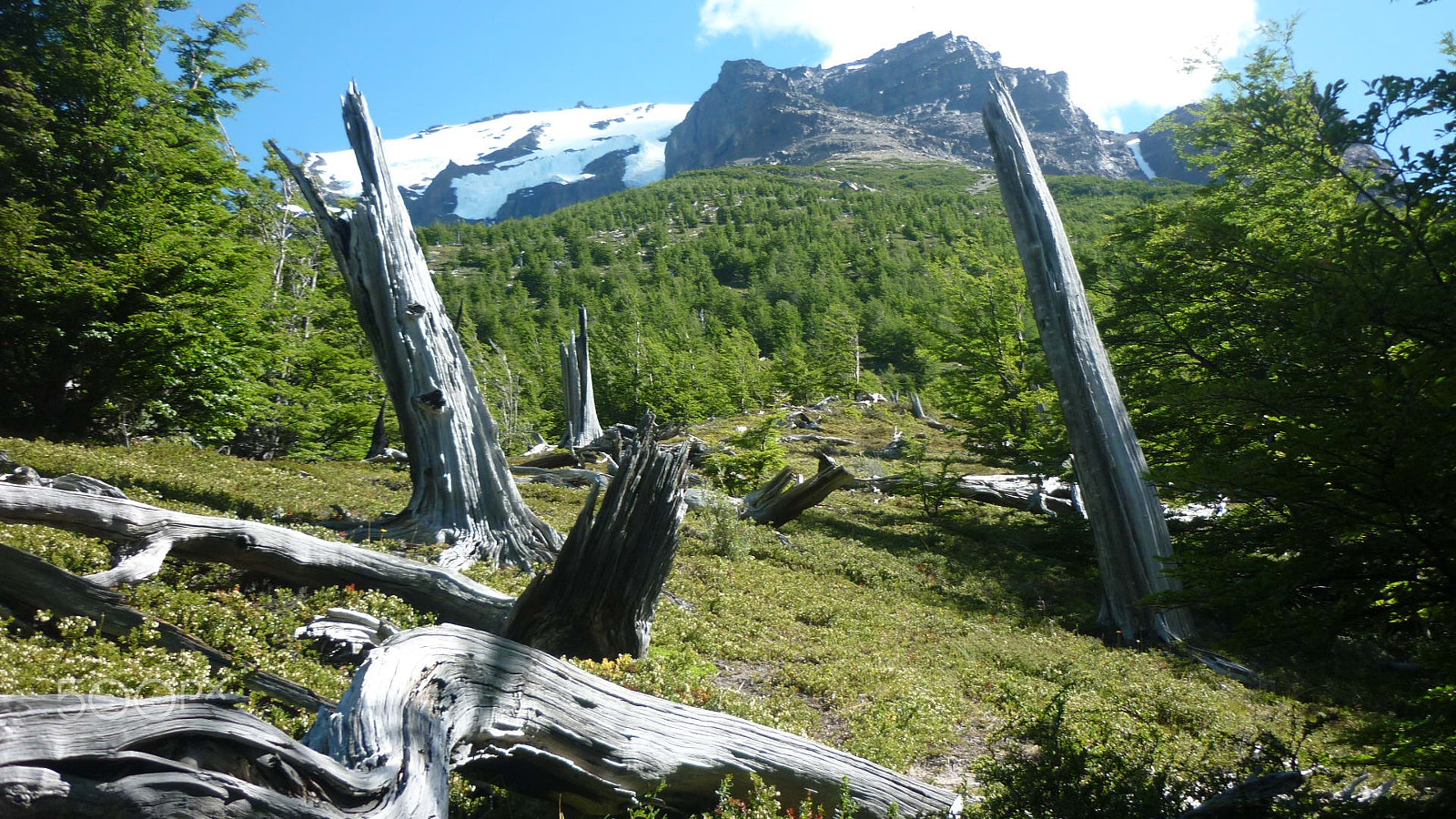 Panasonic DMC-FS7 sample photo. Torres del paine photography