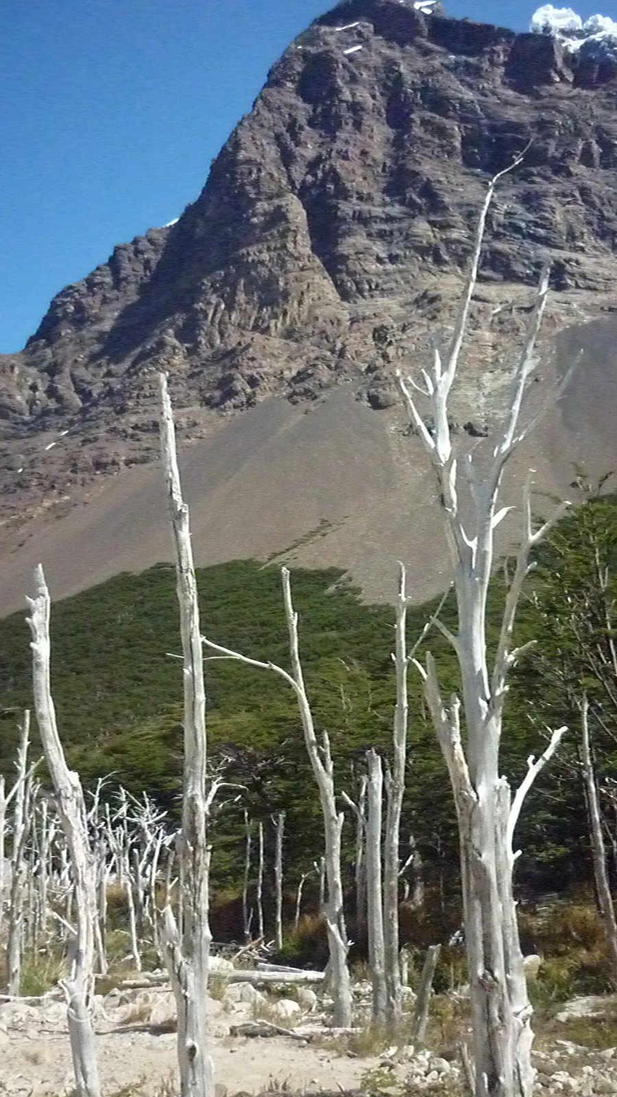 Panasonic DMC-FS7 sample photo. Torres del paine photography