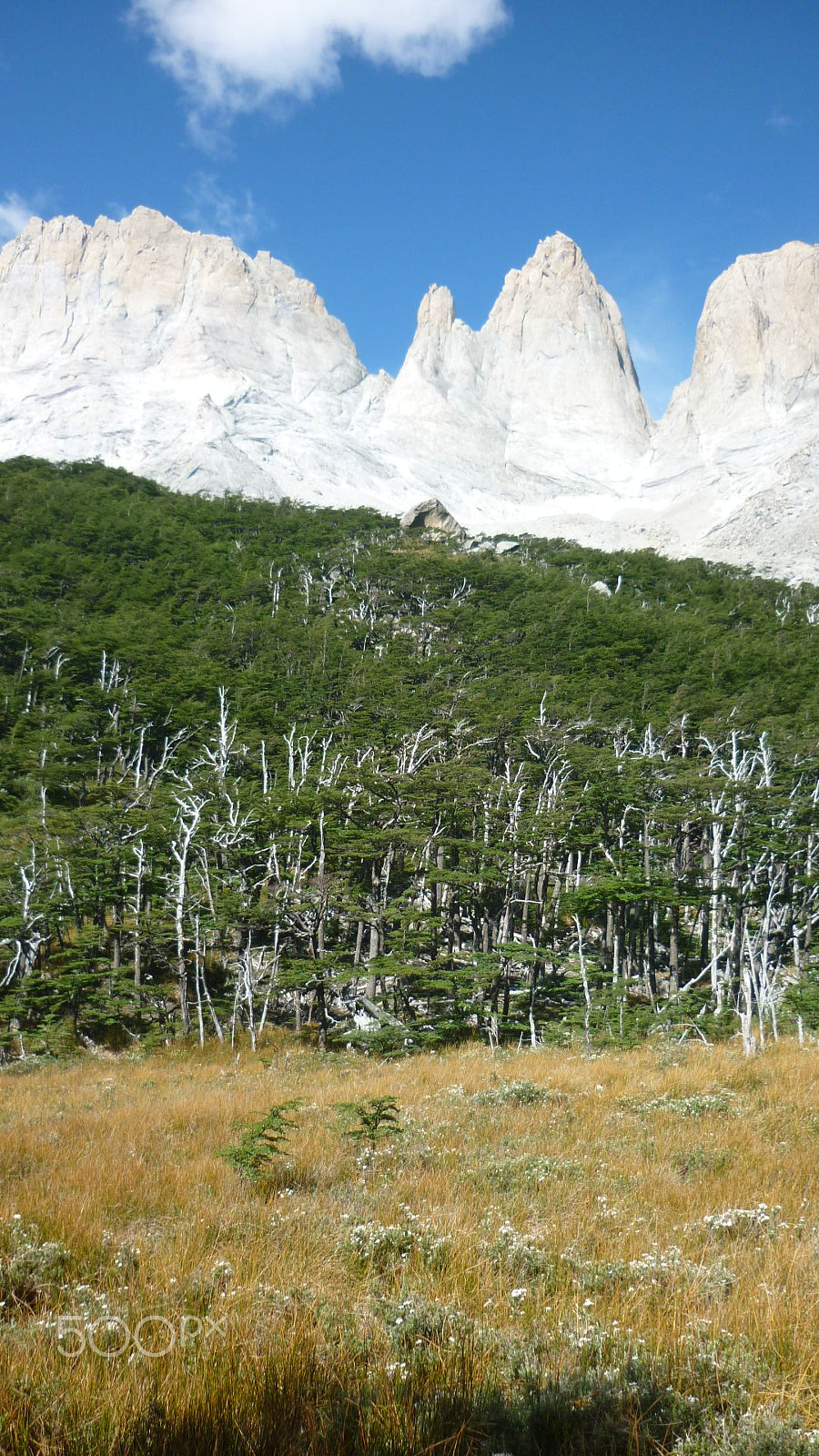 Panasonic DMC-FS7 sample photo. Torres del paine photography