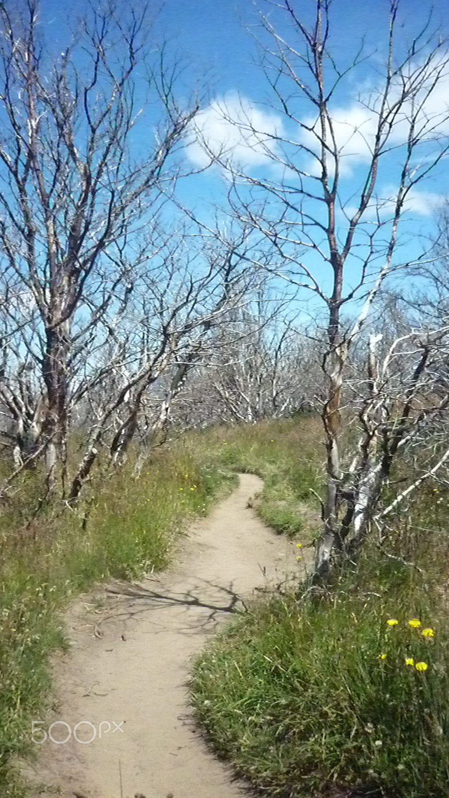 Panasonic DMC-FS7 sample photo. Torres del paine photography