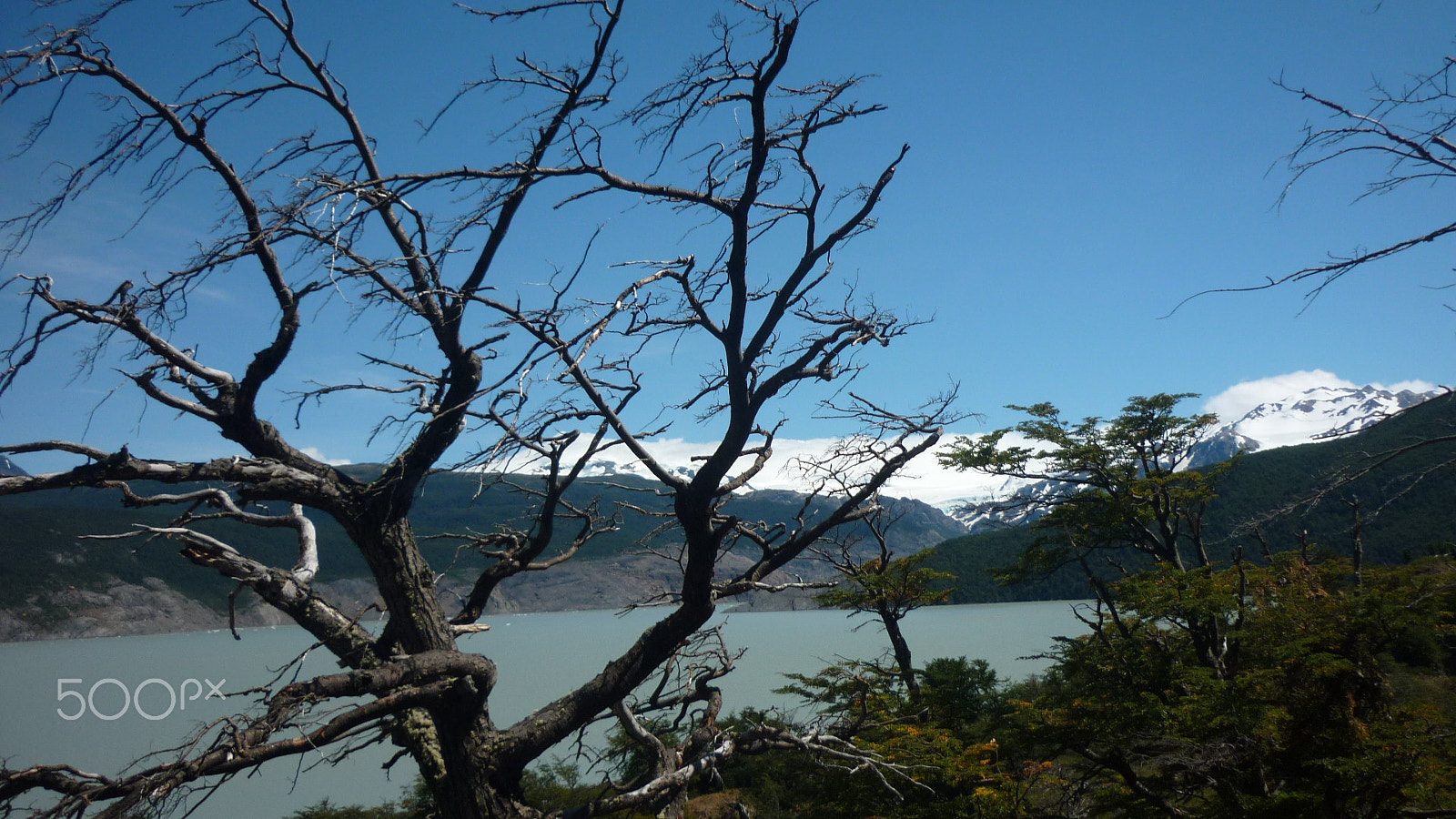 Panasonic DMC-FS7 sample photo. Torres del paine photography