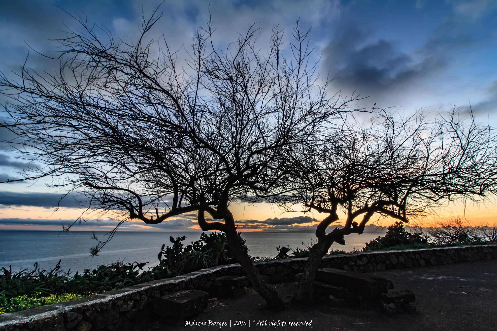 Canon EF-S 10-18mm F4.5–5.6 IS STM sample photo. Relax time!! photography