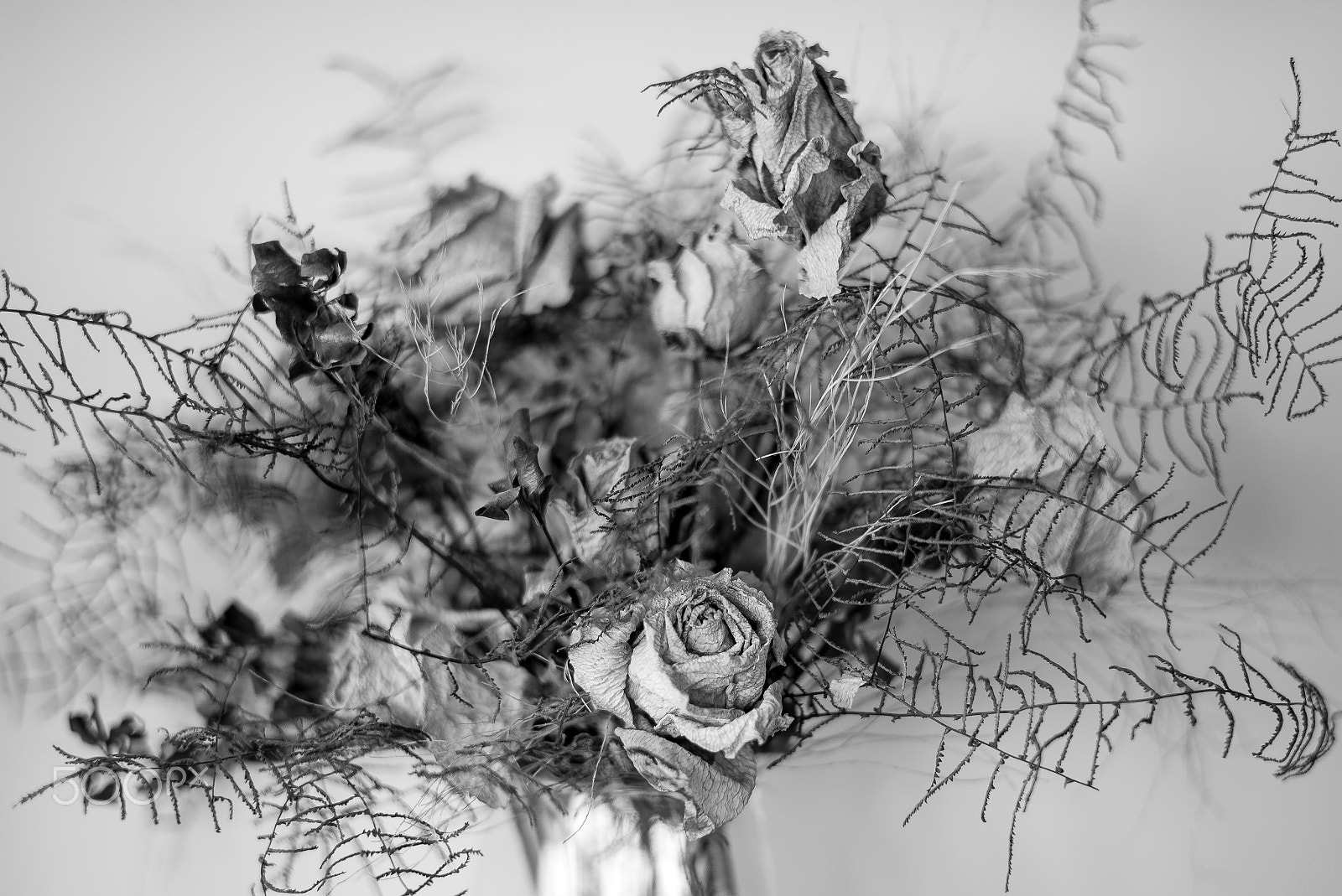 Leica Summilux-M 50mm F1.4 ASPH sample photo. Memories... photography